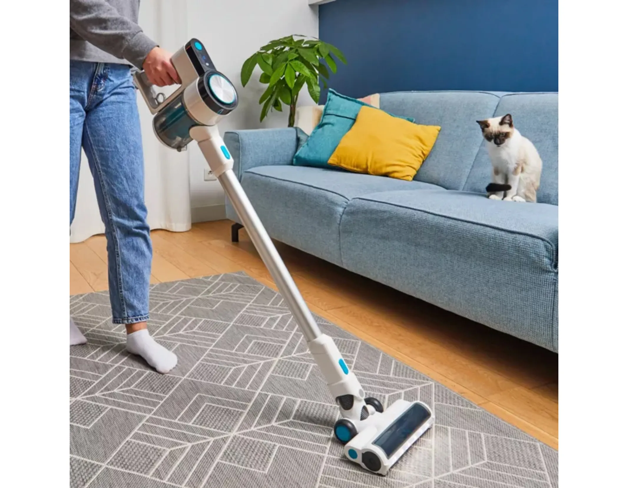 Essentiel-B Aspirateur balai EAMU 216 EASY2 image