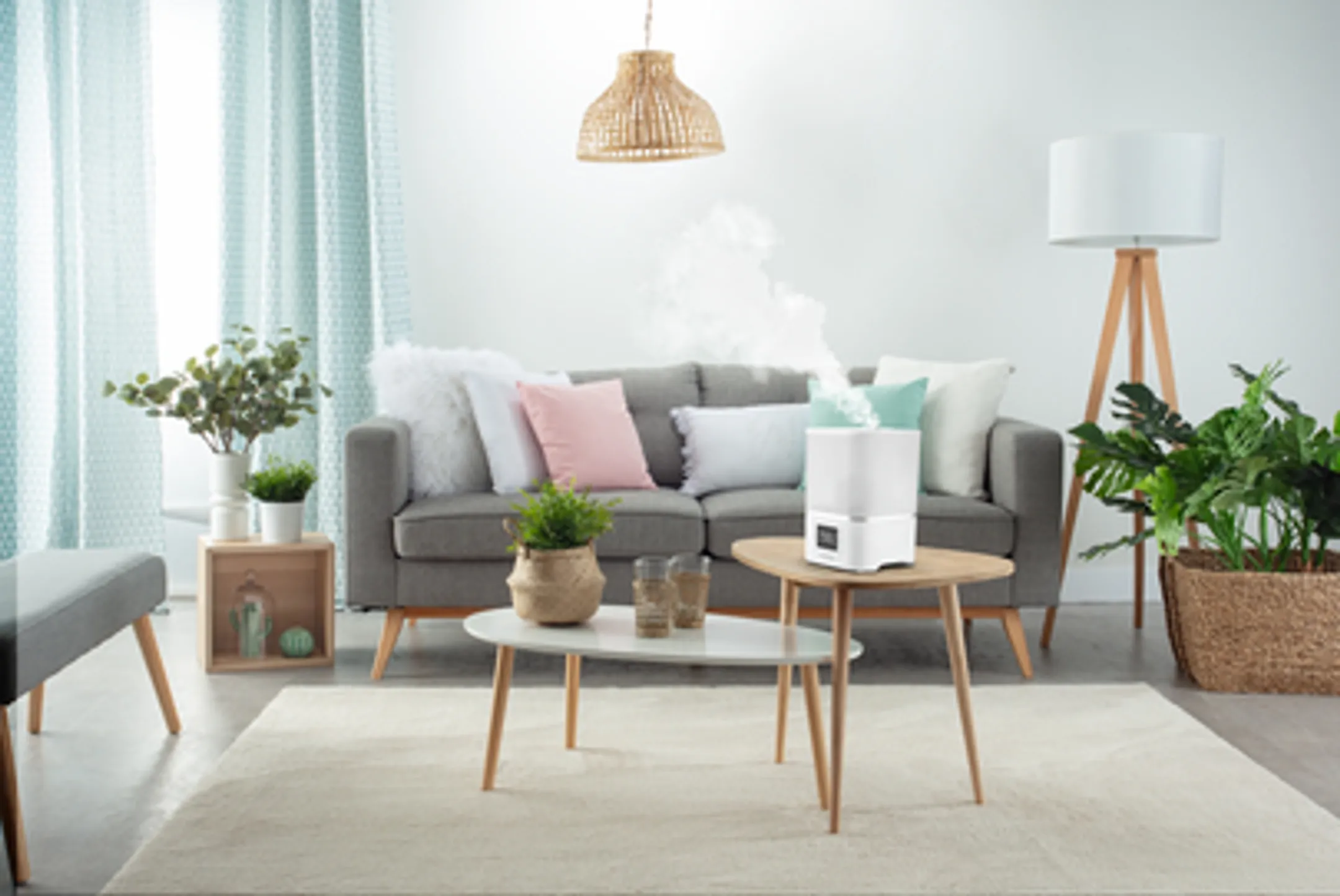 Rowenta Luchtbevochtiger HU4020FO image