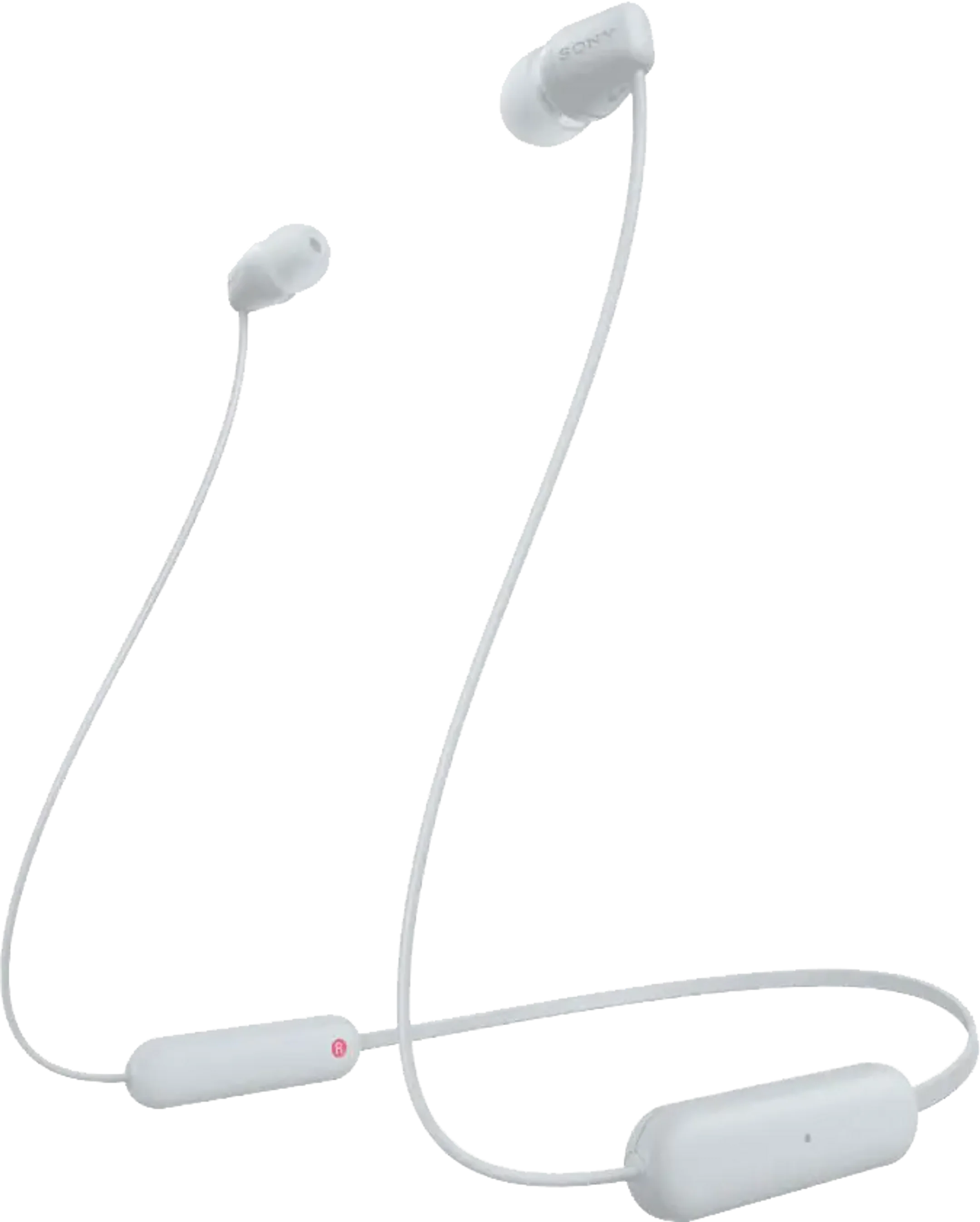 Écouteurs de sport bluetooth WI-C100 - Blanc