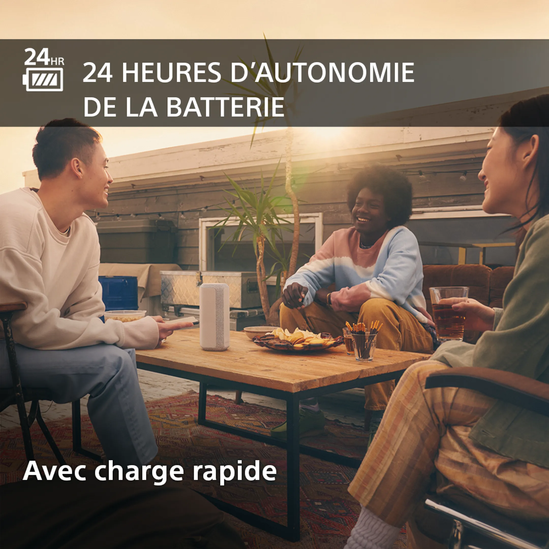 Sony SRS-XE300 Bluetooth Speaker - Lichtgrijs image