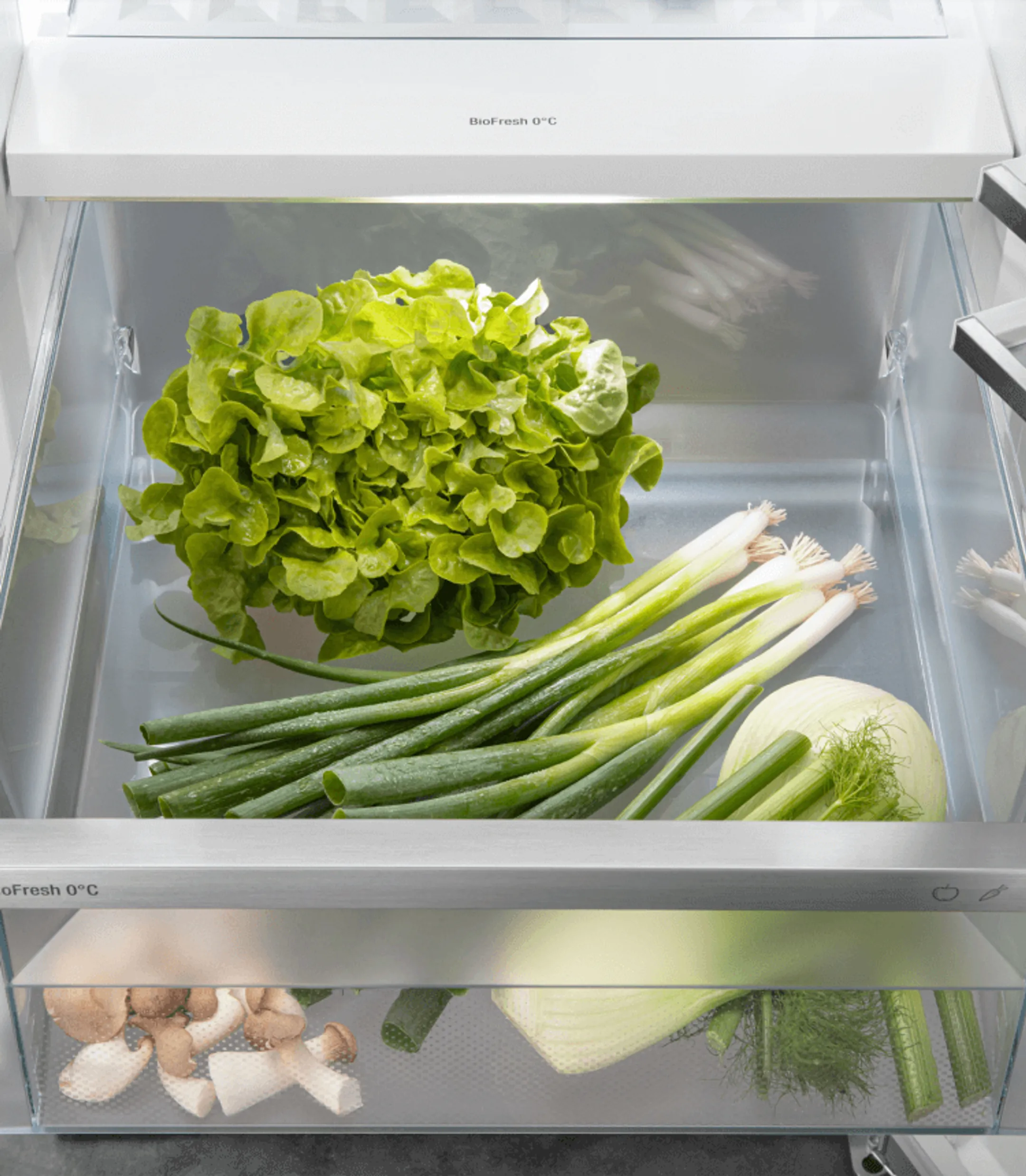 Liebherr Koelkast RBbsc 5250 Prime image