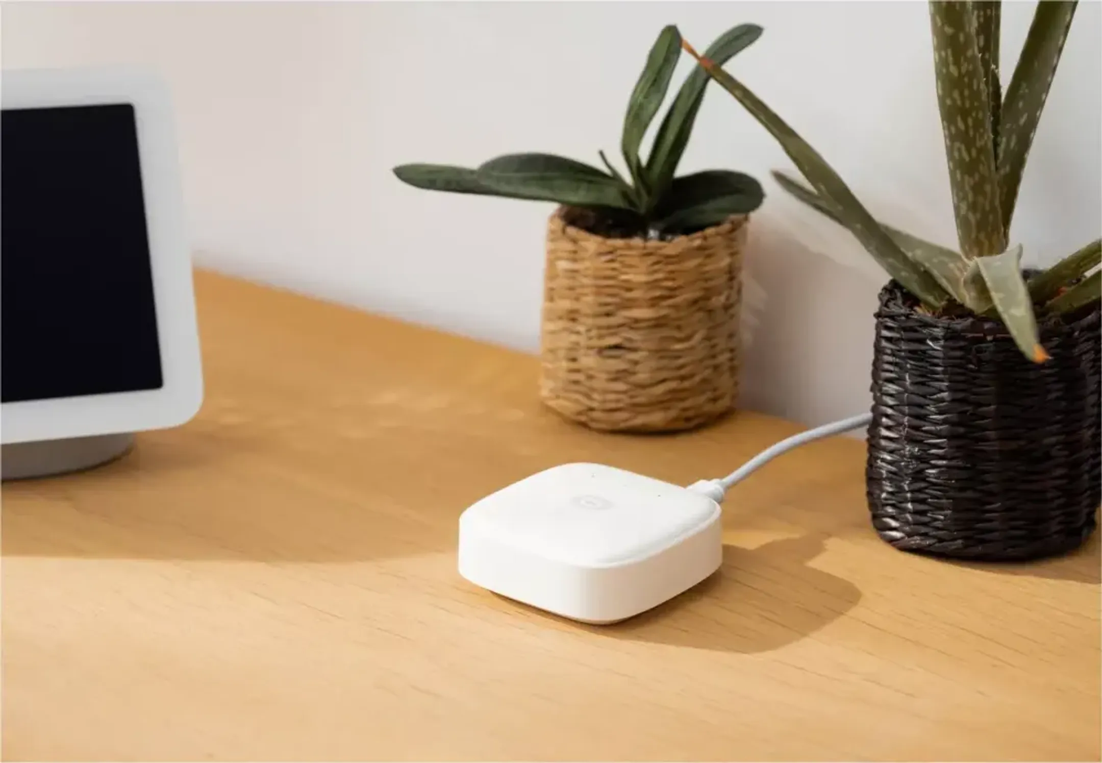 Essentiel-B Découverte Pack - Wit en kleuren image