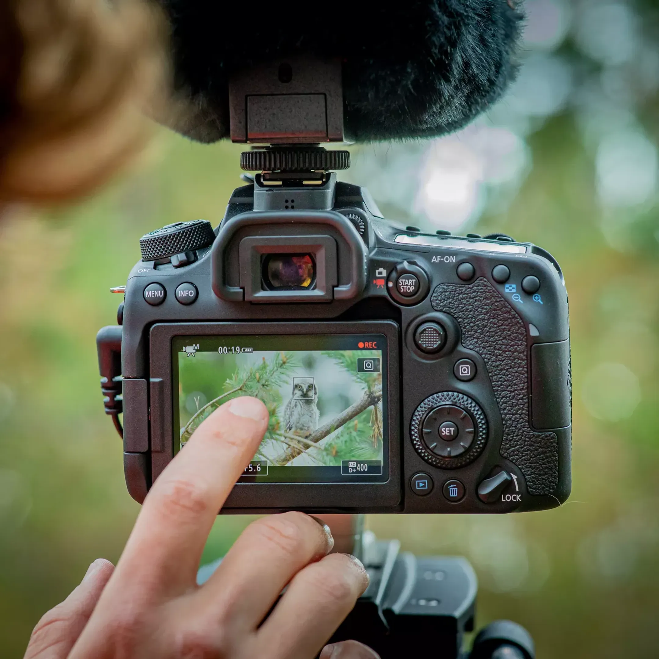 Canon Body EOS 90D   image