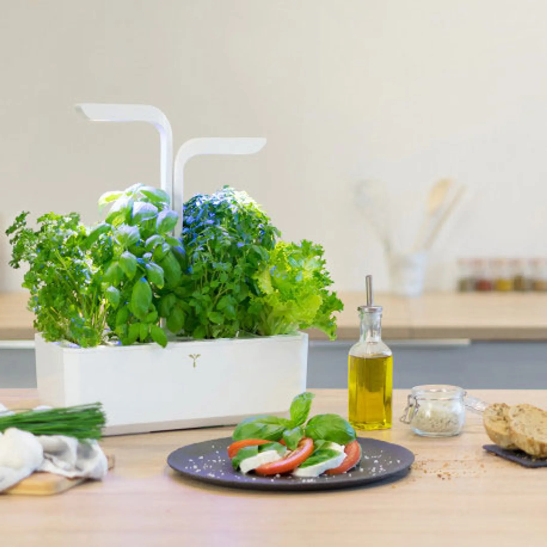 VERITABLE Moestuin Classic image