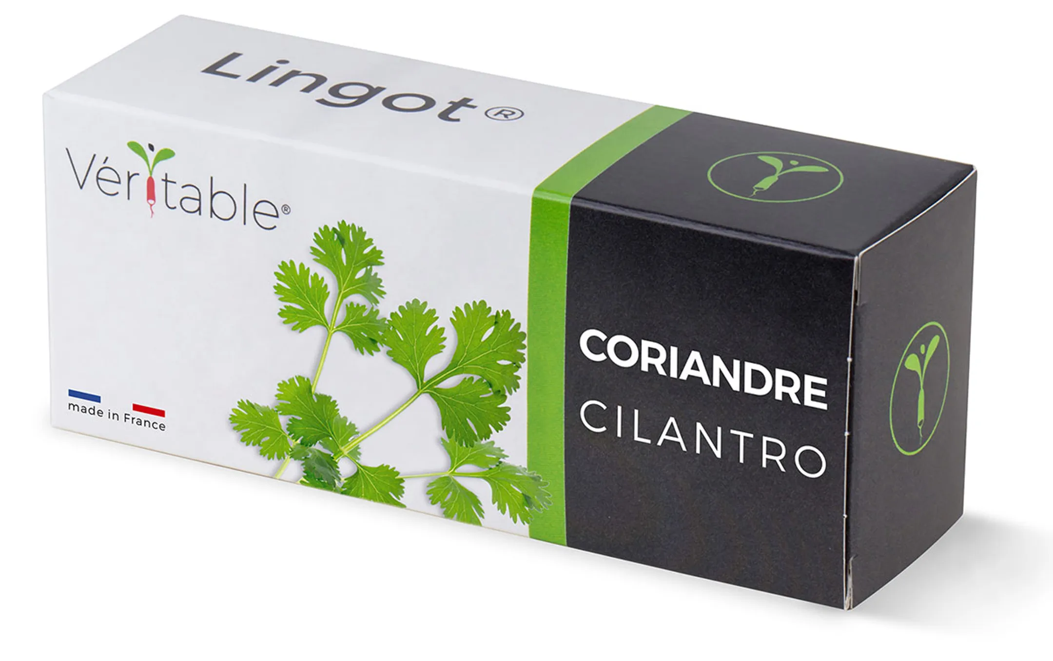 Lingot Coriandre
