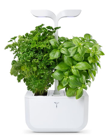 Moestuin Exky Classic