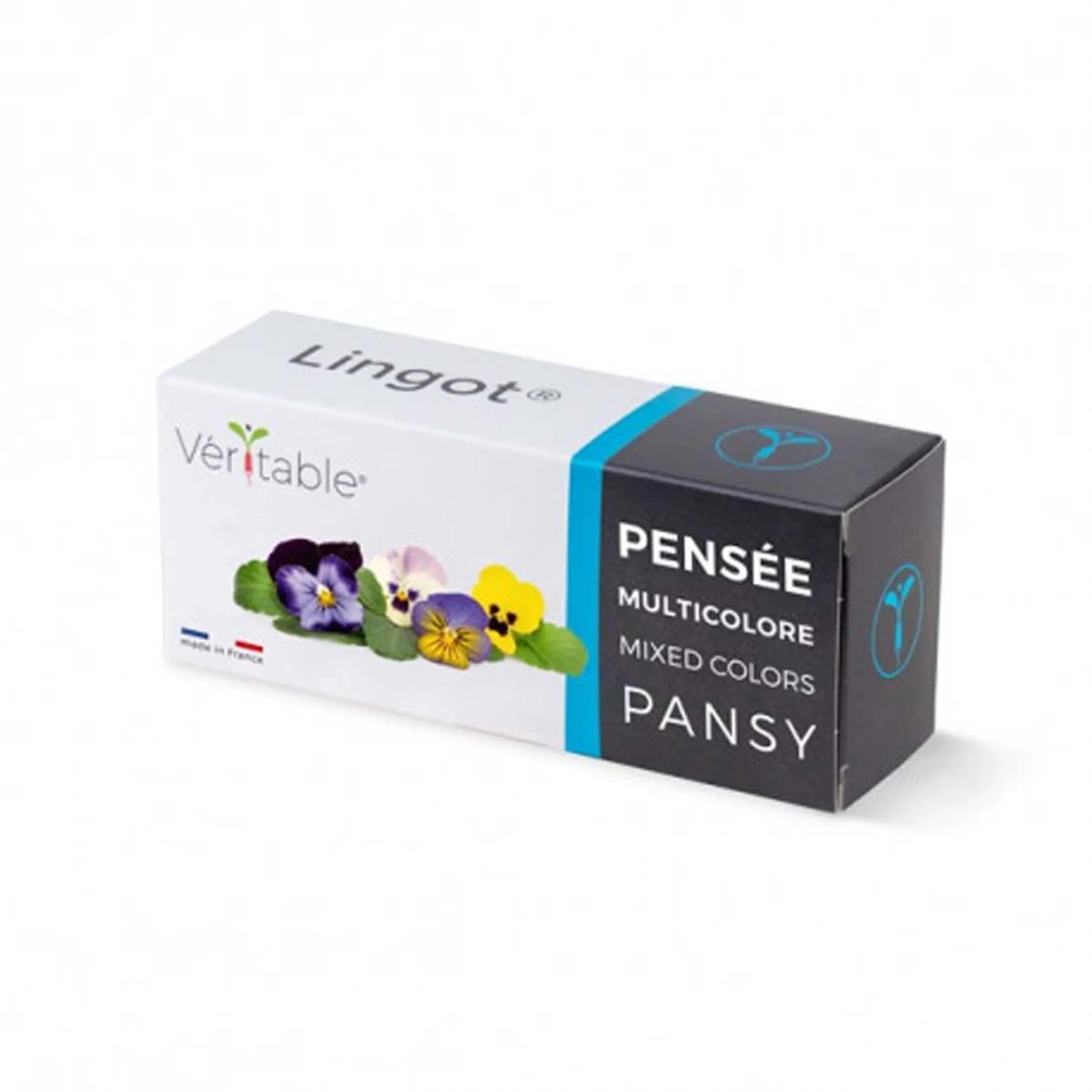 Lingot Pensée Multicolore