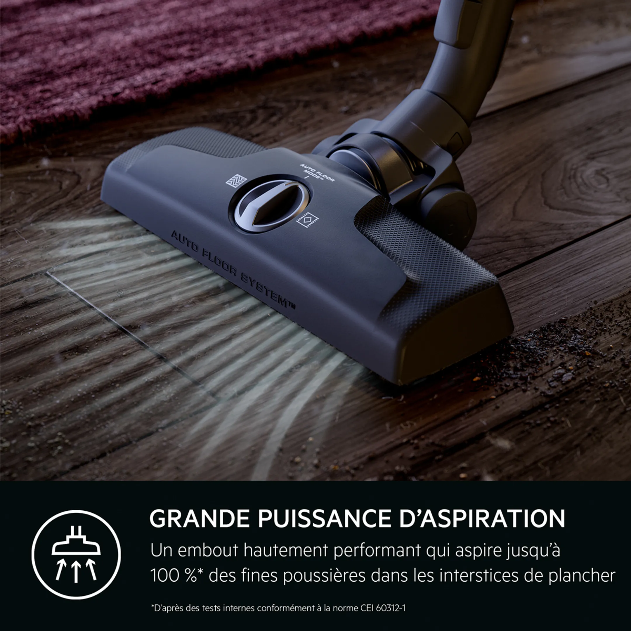 AEG Aspirateur avec sac Animal 6000 AB61A5UGT image