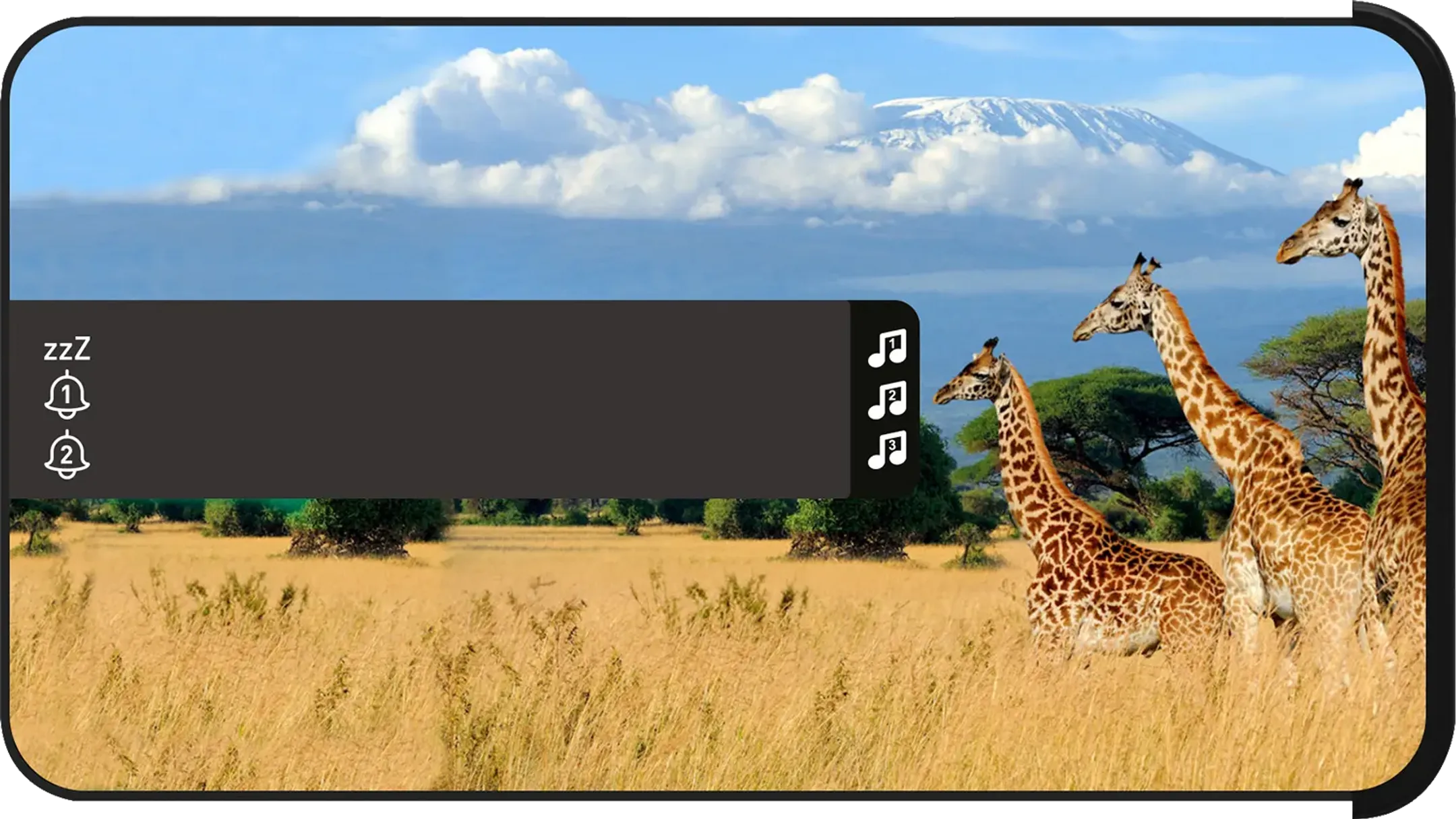 Réveil avec sons de safari - R16SAFARI