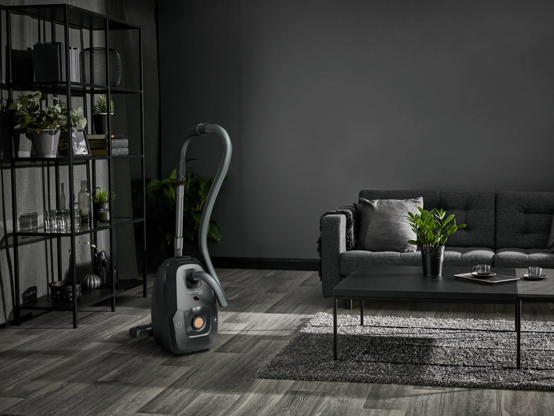 Rowenta Aspirateur avec sac Green Force Effitech RO6179 image