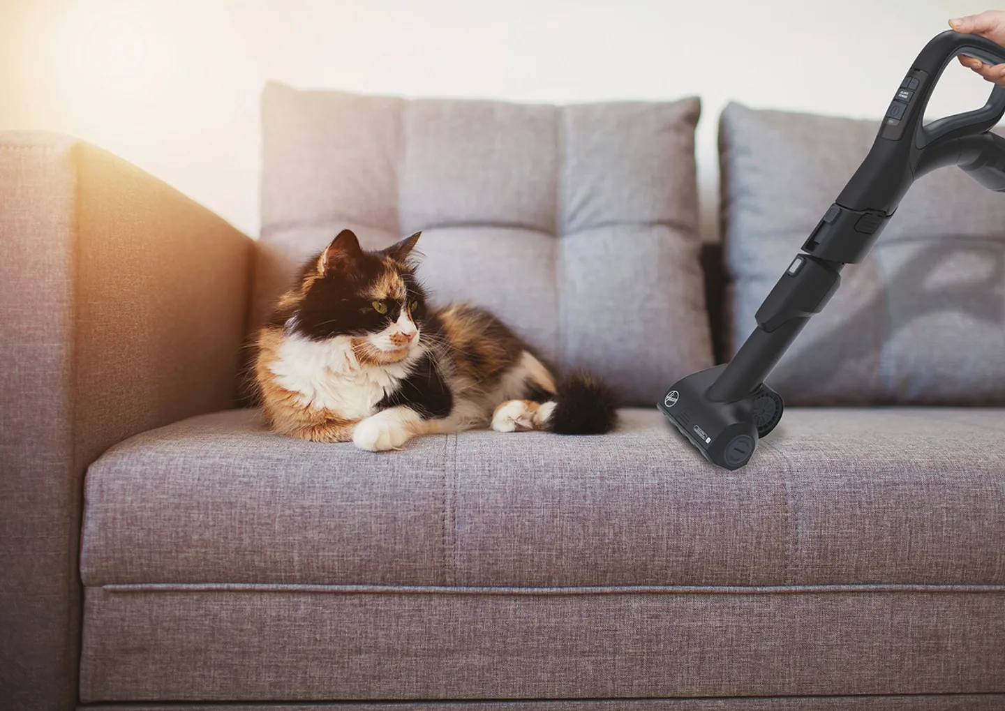 Hoover Sledestofzuiger met zak HEnergy 500 Pet & Allergy HE530ALG Bestel nu, in huis