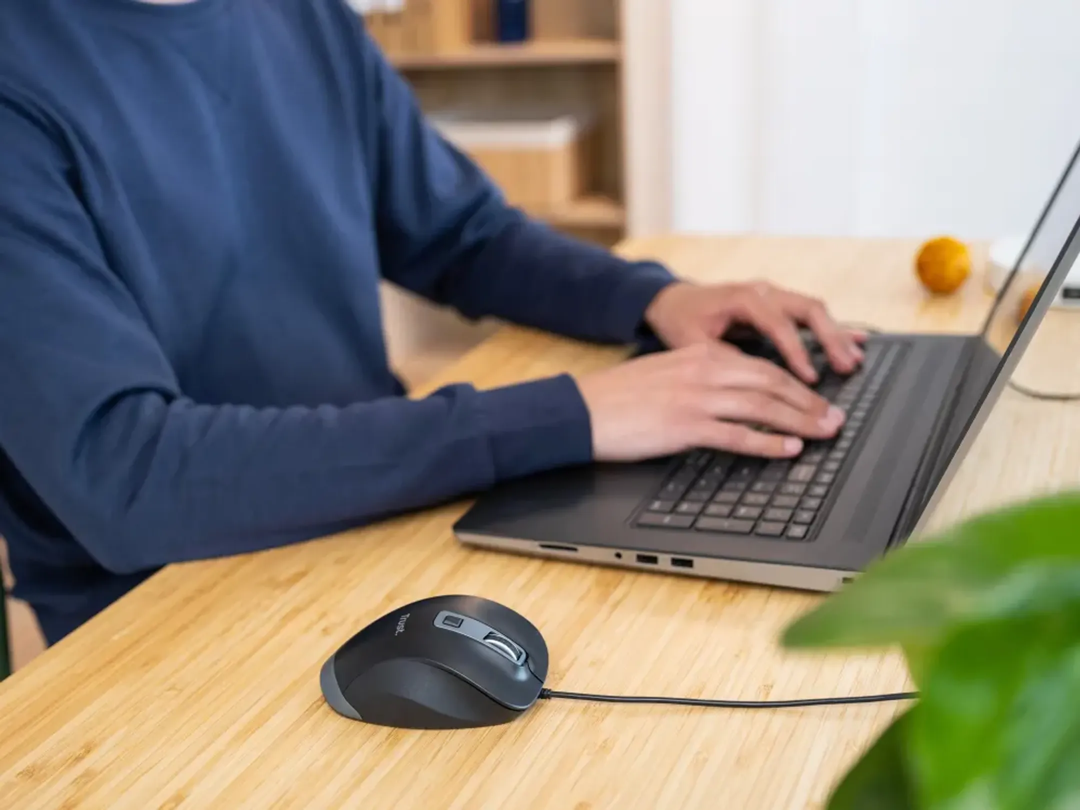 Trust Souris Eco filaire Fyda - Noir image