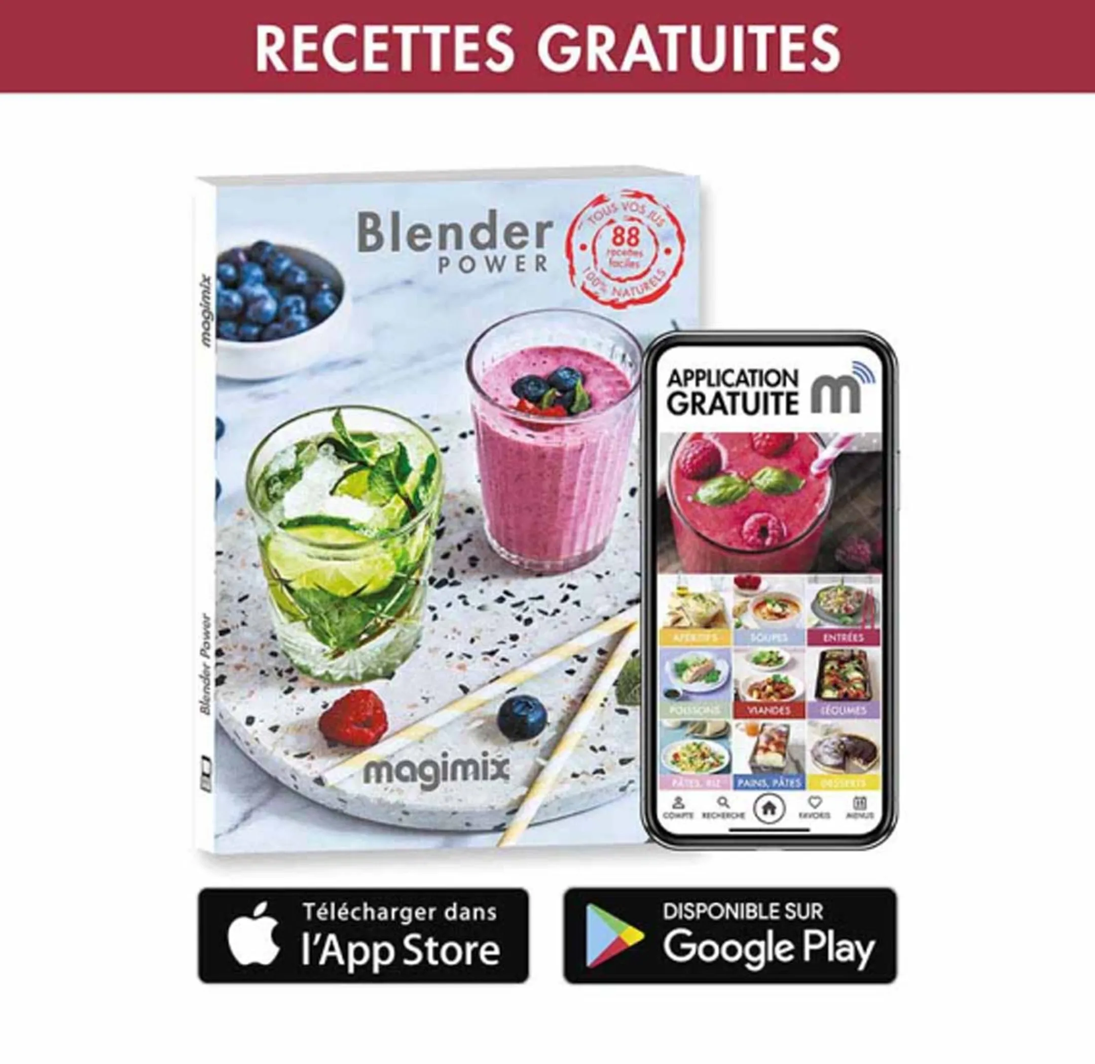 Magimix Blender Power 4 Chrome image