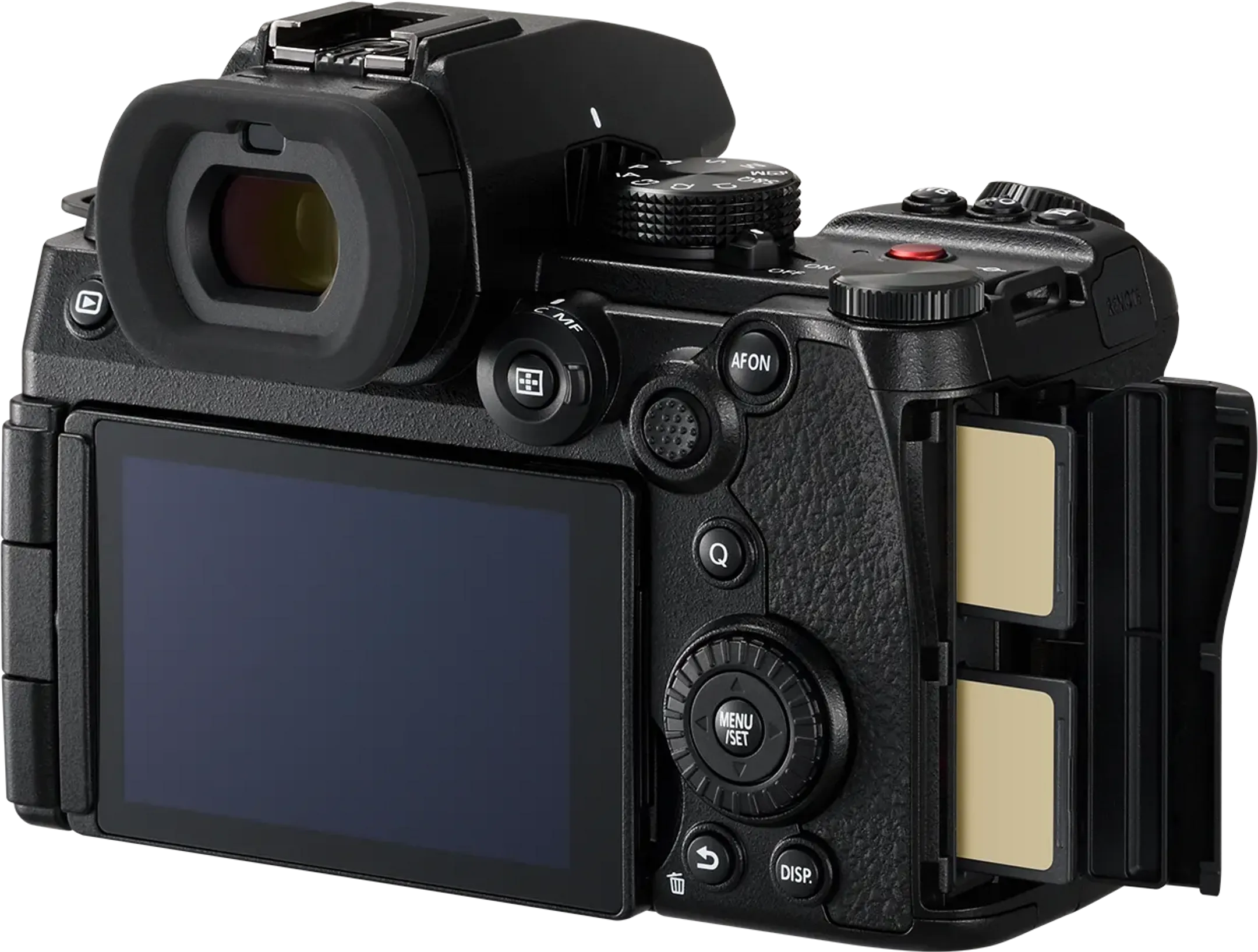 Panasonic Lumix S DC-S5II + Lumix S 20 - 60 mm f/3.5 - 5.6 image