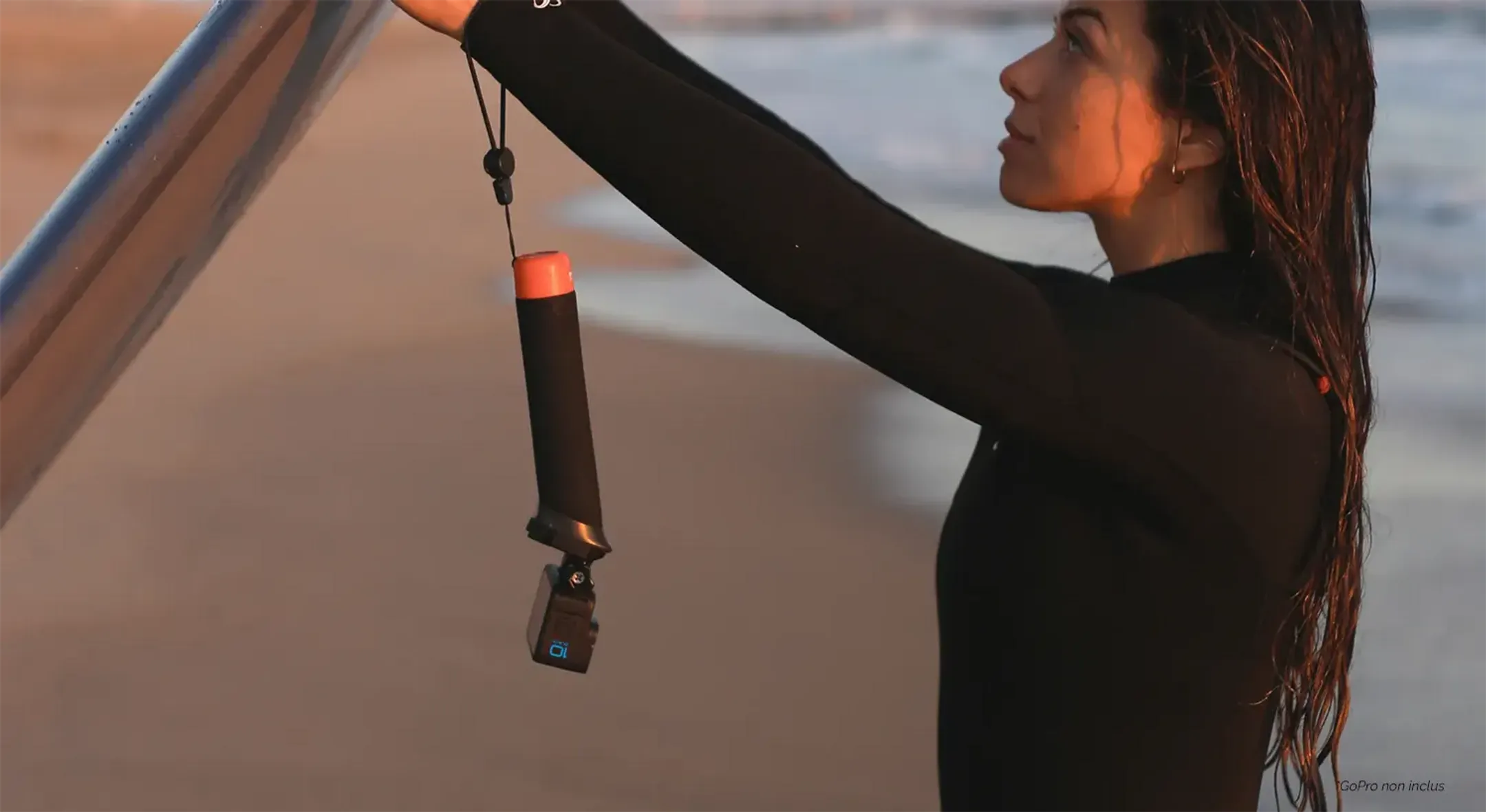 GoPro The Handler fixation avec poignée - Noir image