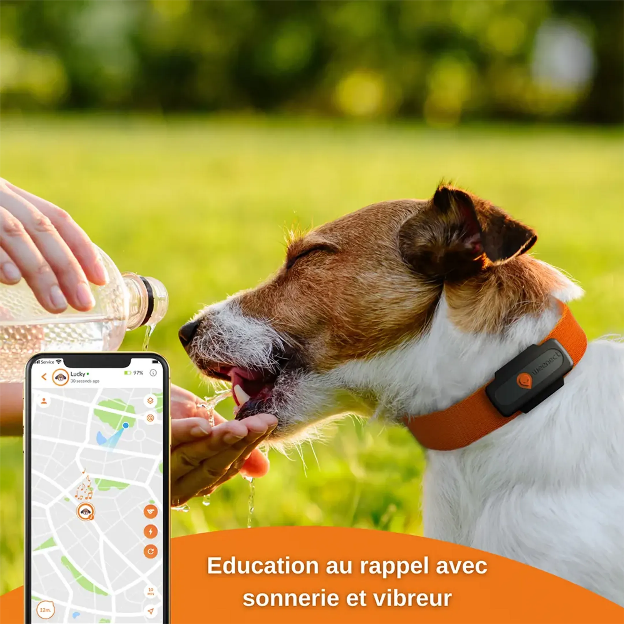 Weenect Collier GPS pour chiens - XS Dogs - Noir image