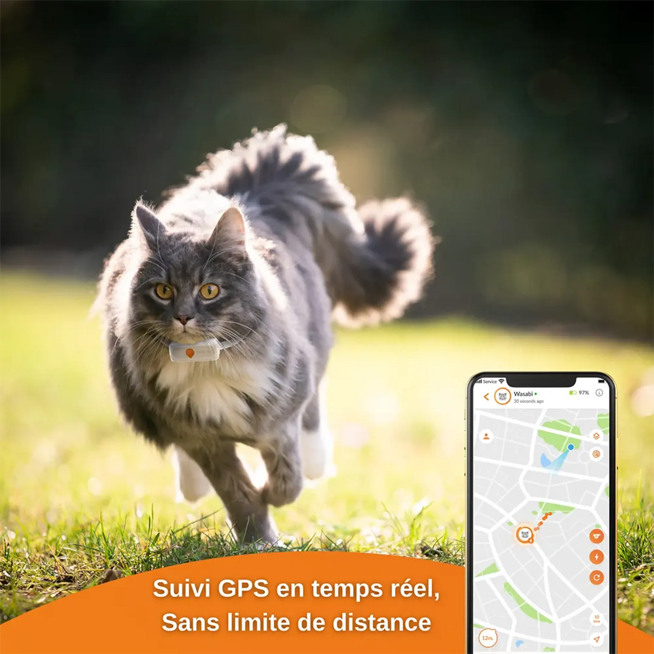 Weenect Collier GPS pour chats - XS Cats - Blanc image