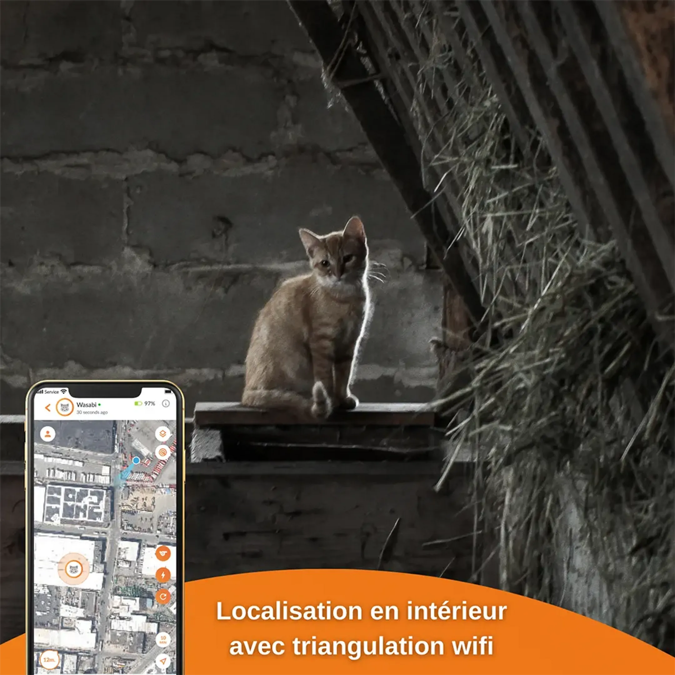 Weenect Collier GPS pour chats - XS Cats - Noir image