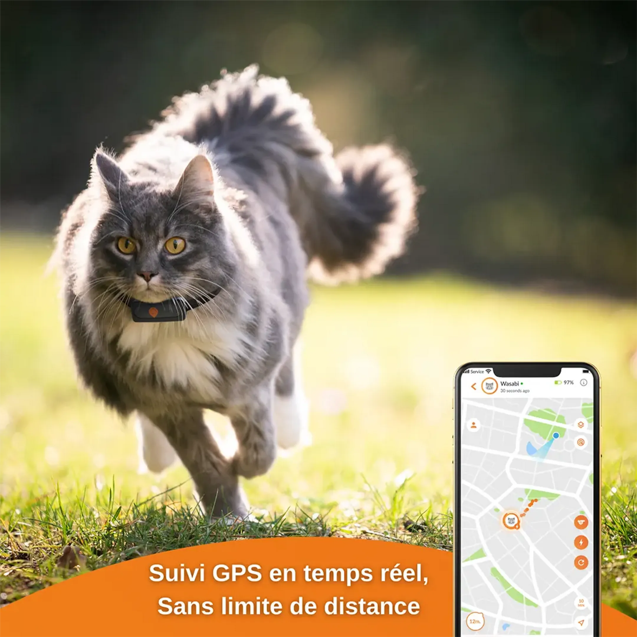 Weenect Collier GPS pour chats - XS Cats - Noir image