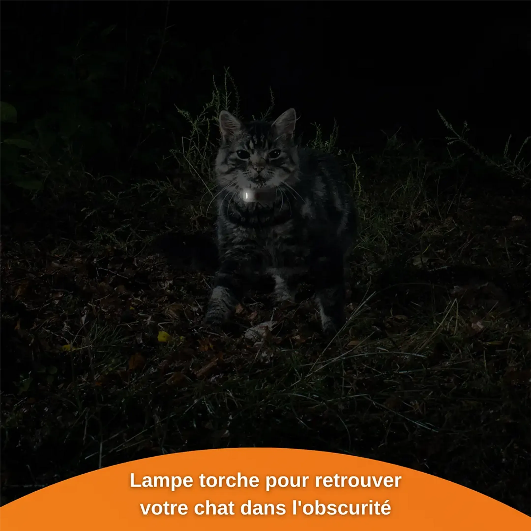 Weenect Collier GPS pour chats - XS Cats - Blanc image