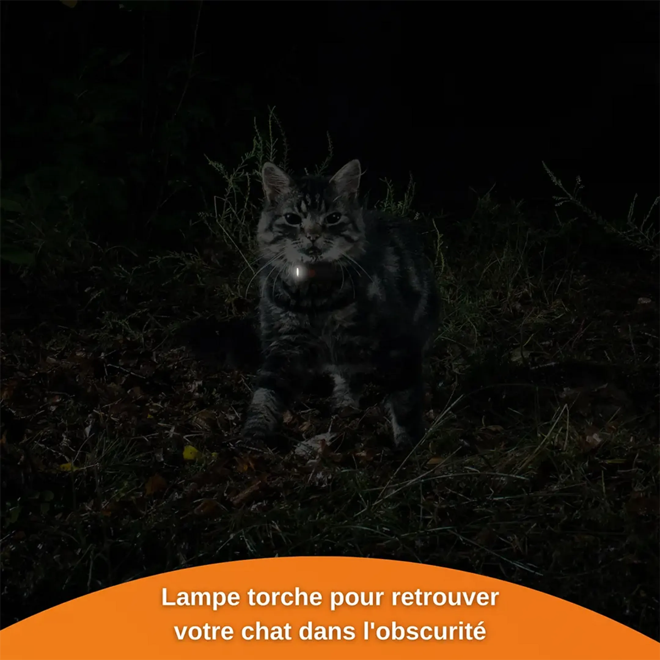 Weenect Collier GPS pour chats - XS Cats - Noir image