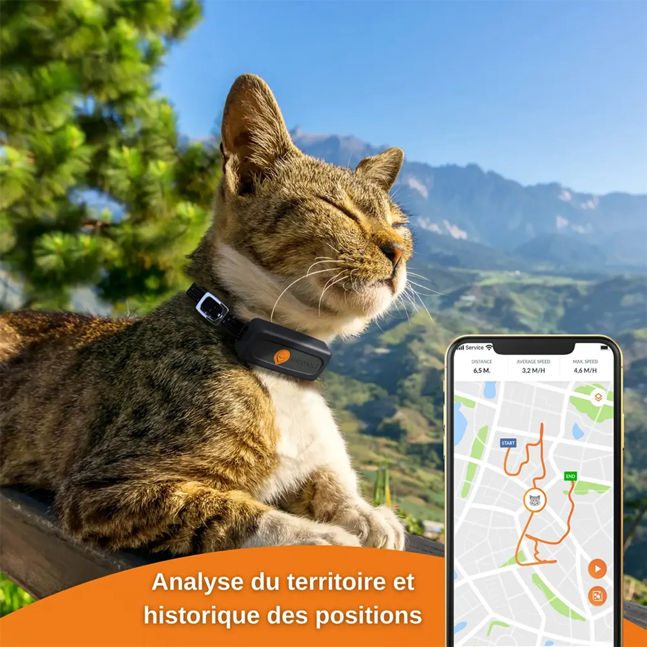 Weenect Collier GPS pour chats - XS Cats - Noir image