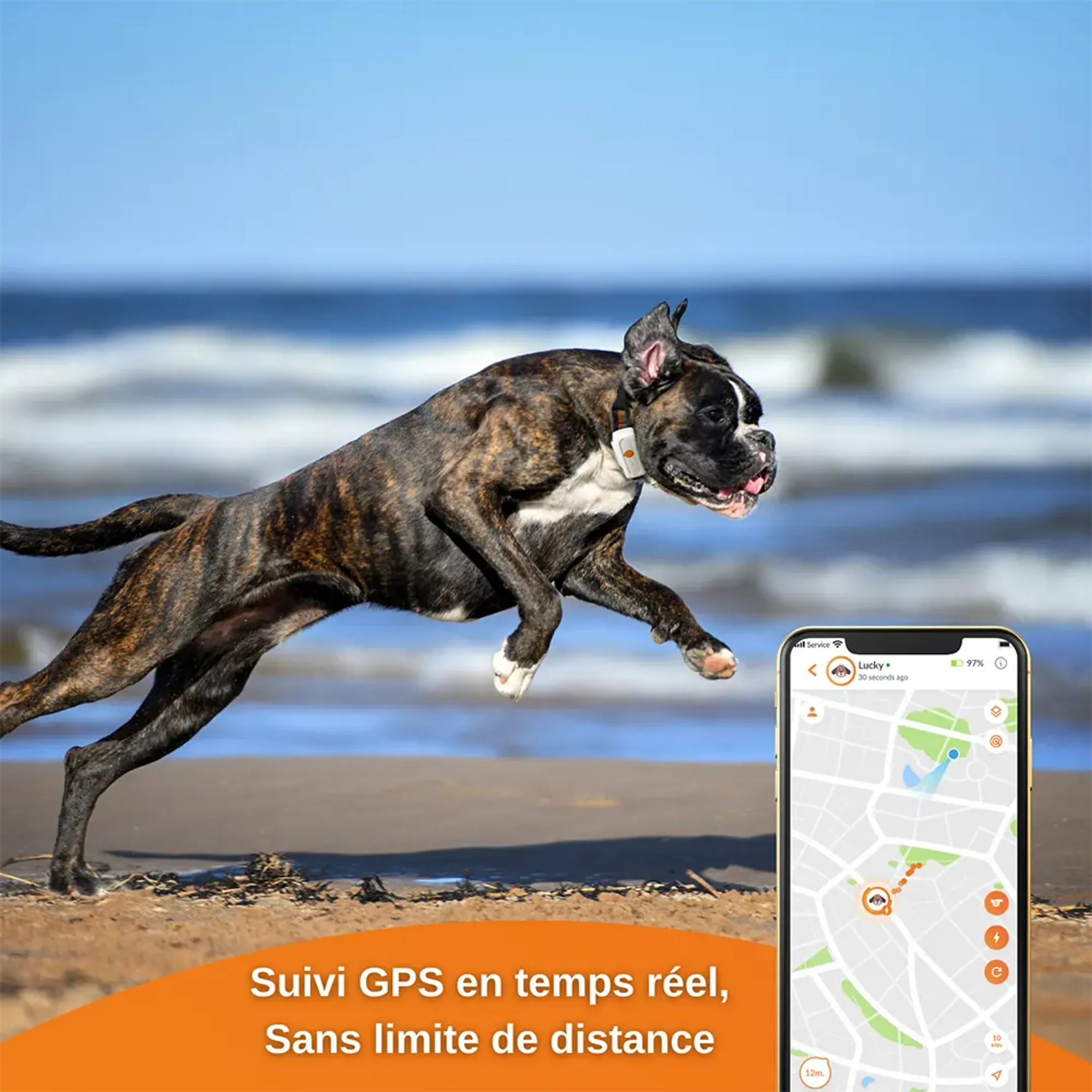 Weenect Collier GPS pour chiens - XS Dogs - Blanc image