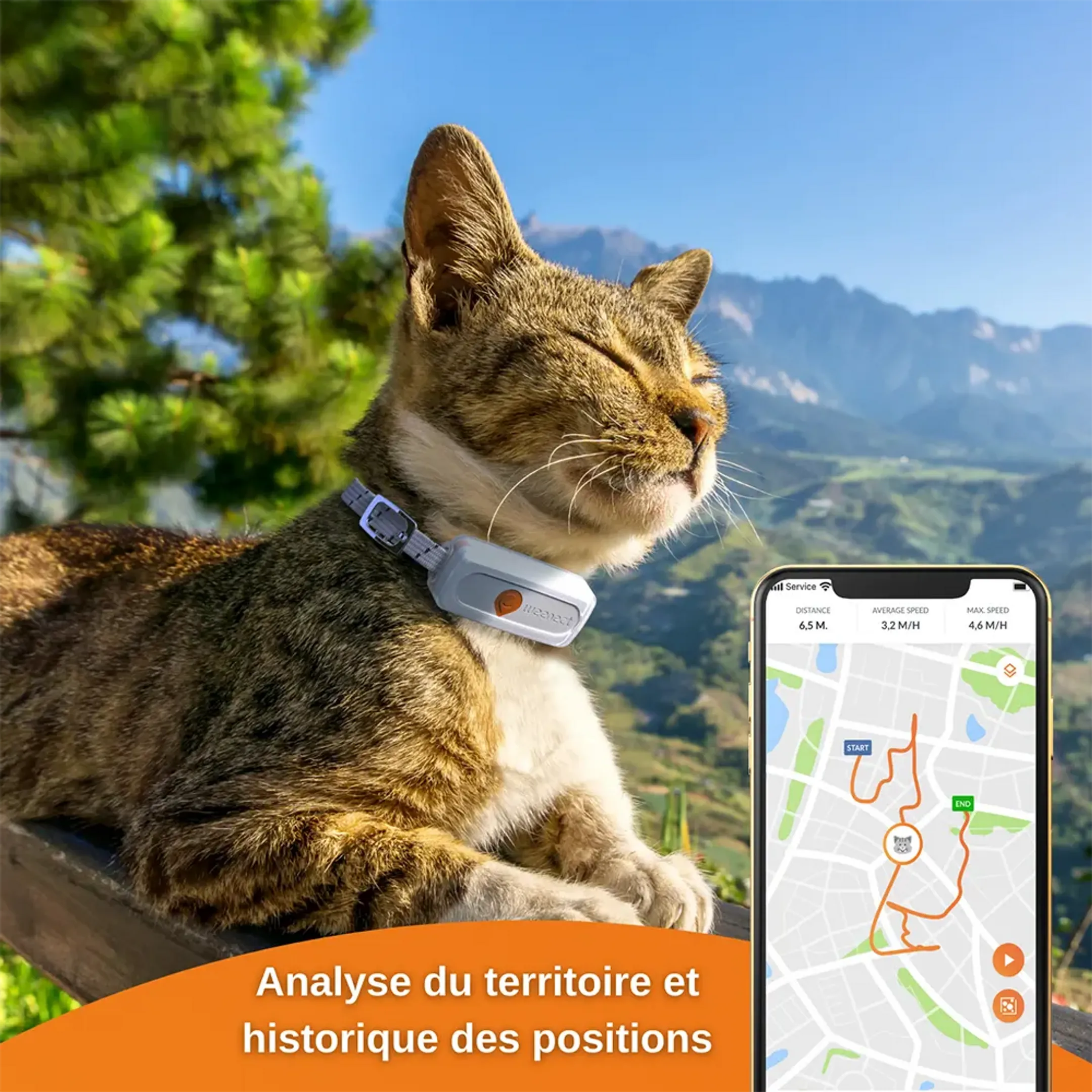 Weenect Collier GPS pour chats - XS Cats - Blanc image