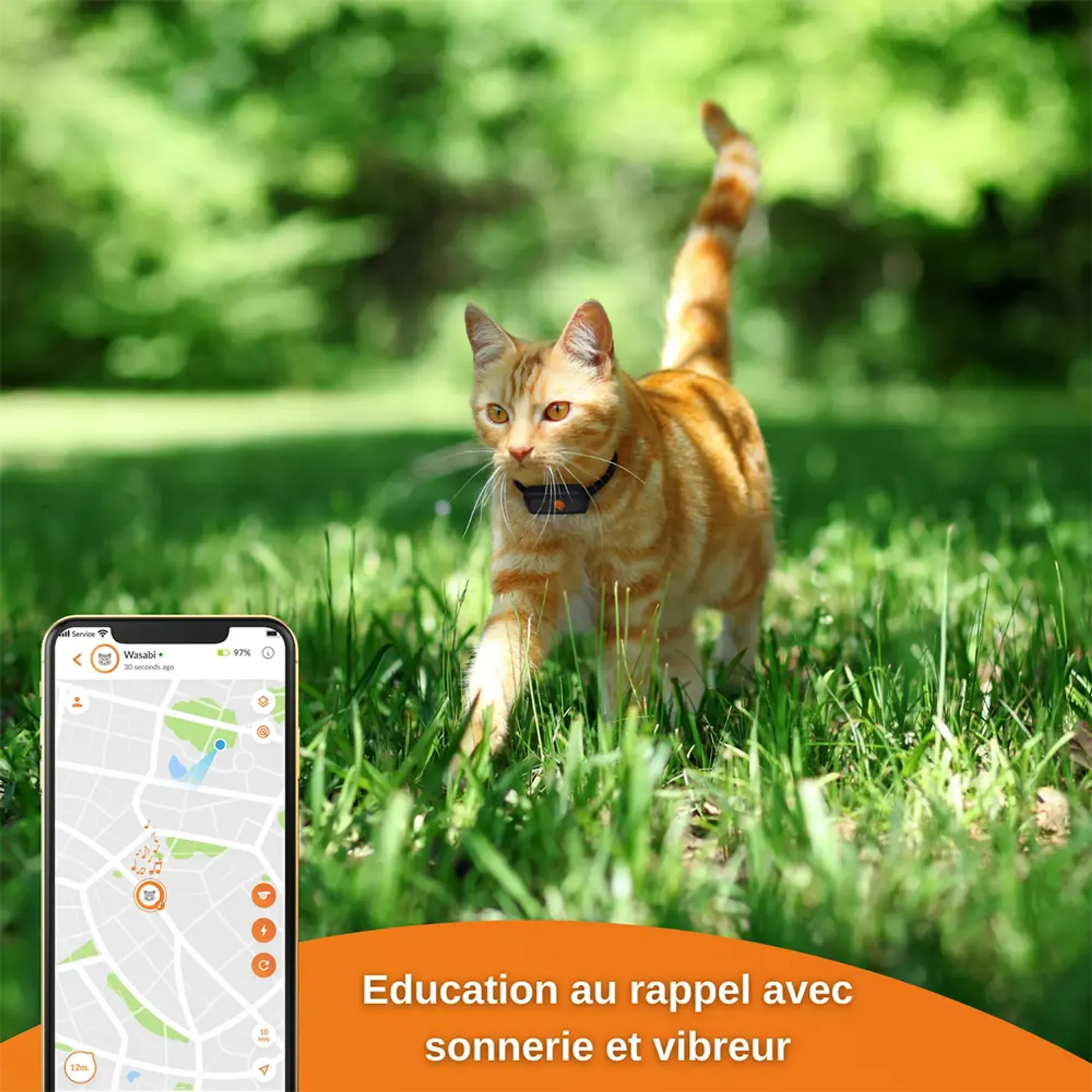 Weenect Collier GPS pour chats - XS Cats - Noir image