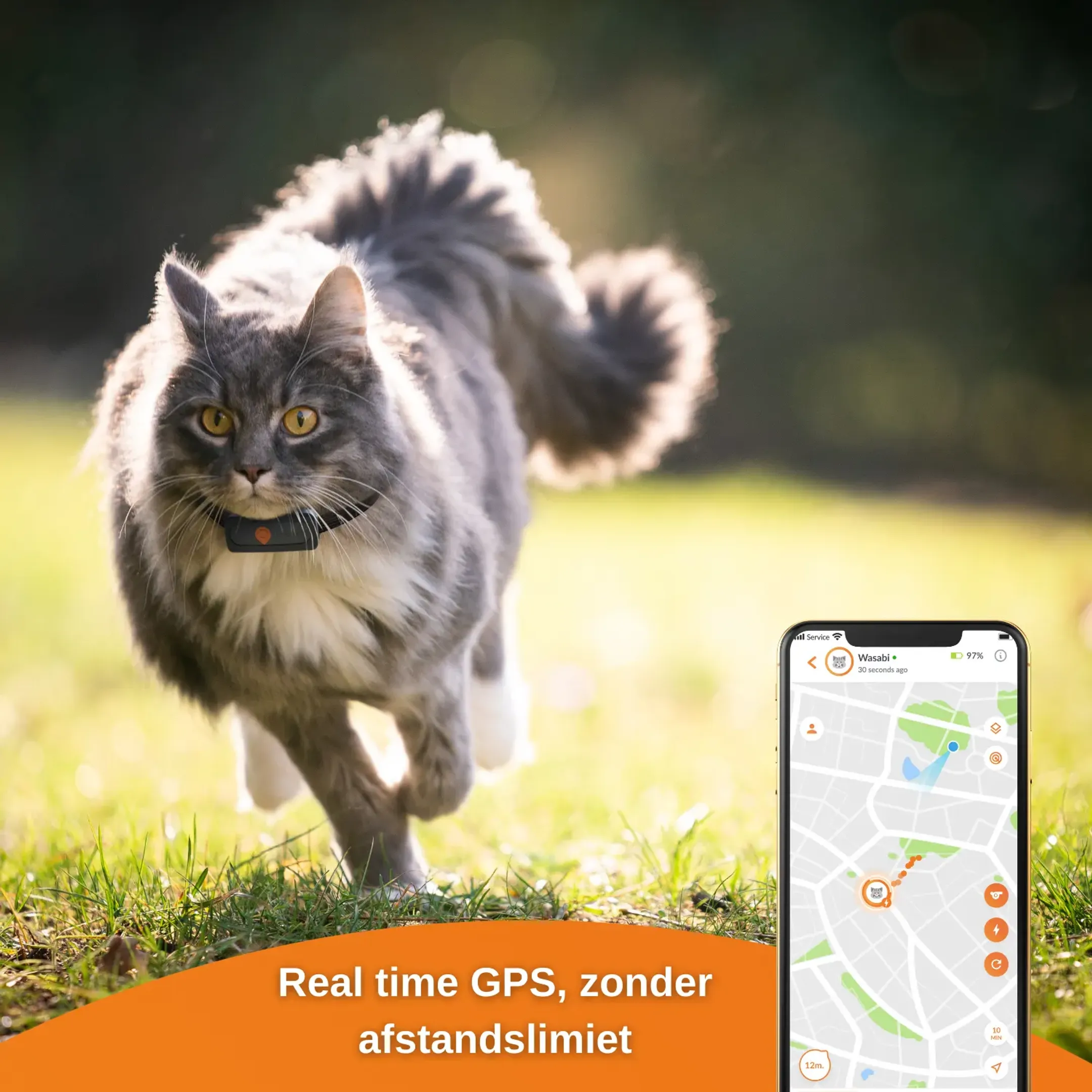 Weenect GPS tracker voor katten - XS Cats - Zwart image
