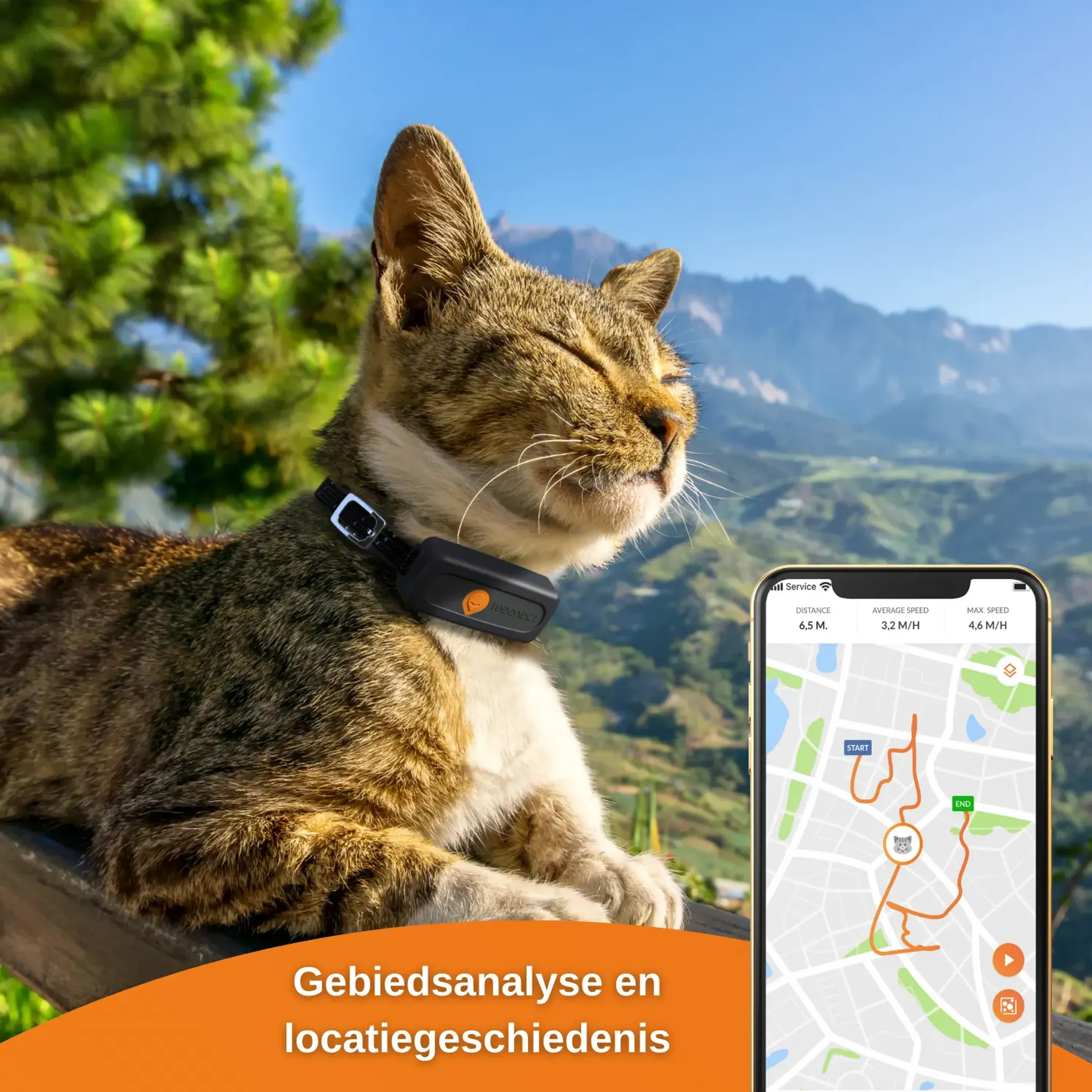 Weenect GPS tracker voor katten - XS Cats - Zwart image