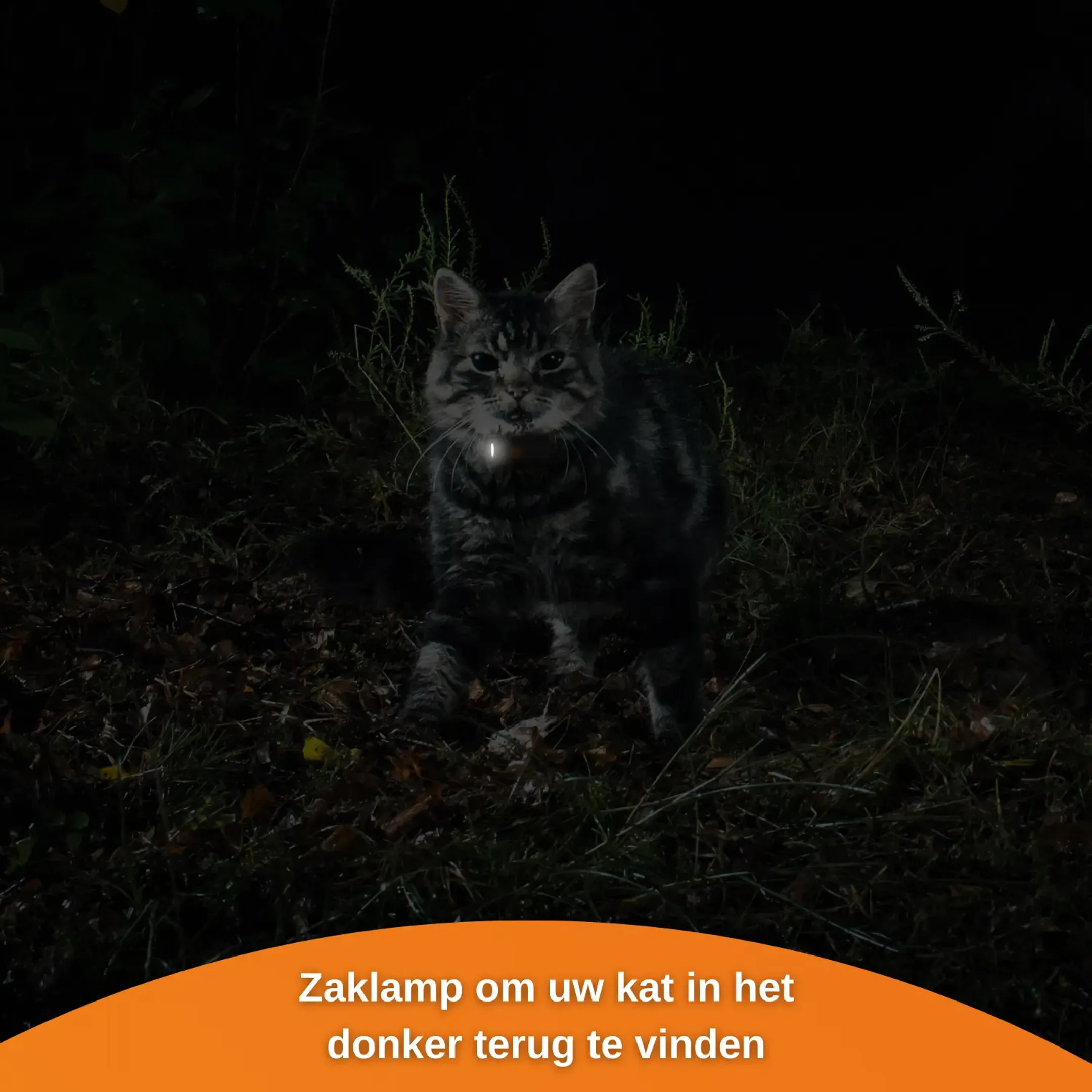 Weenect GPS tracker voor katten - XS Cats - Zwart image