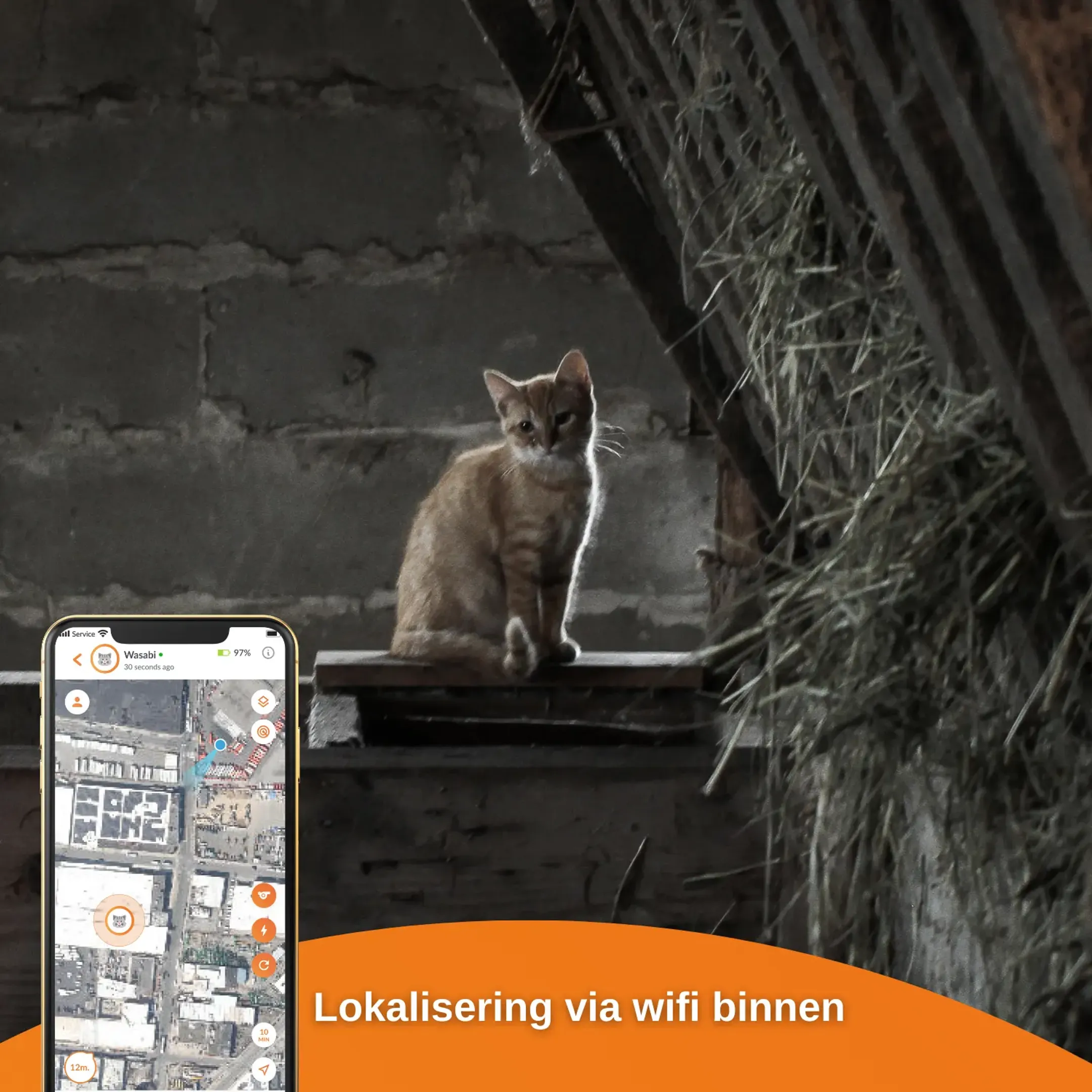 Weenect GPS tracker voor katten - XS Cats - Zwart image