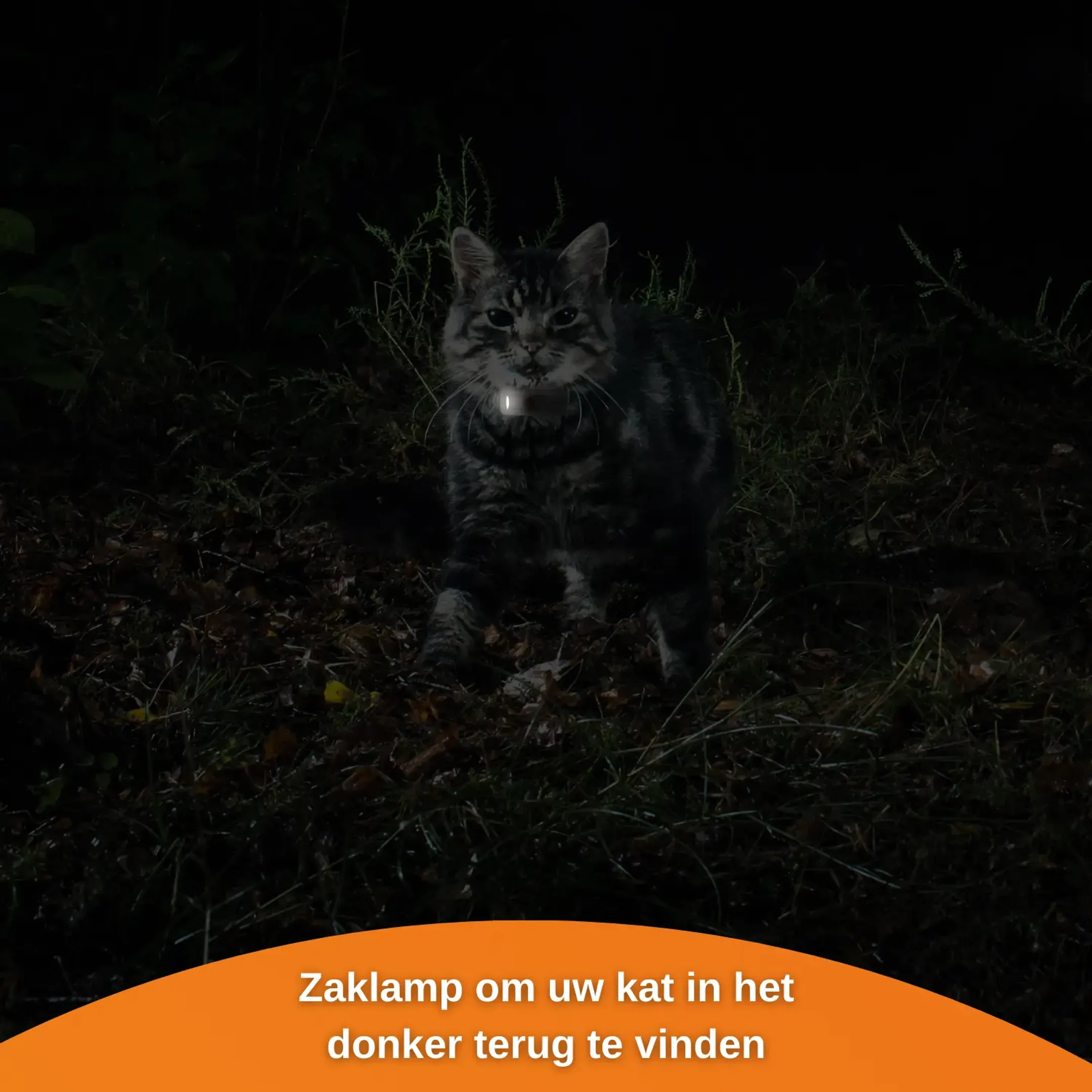 Weenect GPS tracker voor katten - XS Cats - Wit image