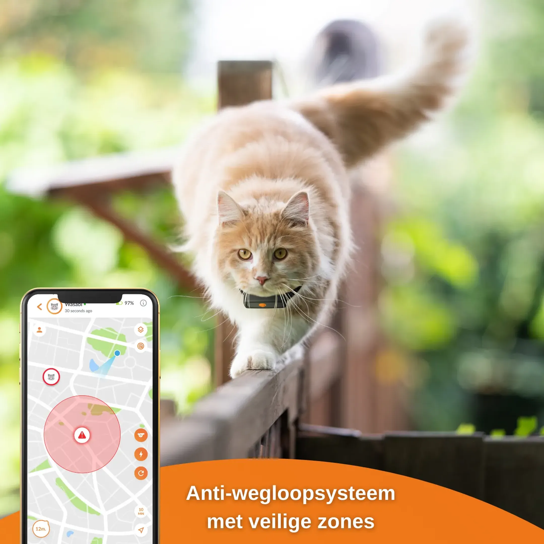 Weenect GPS tracker voor katten - XS Cats - Zwart image