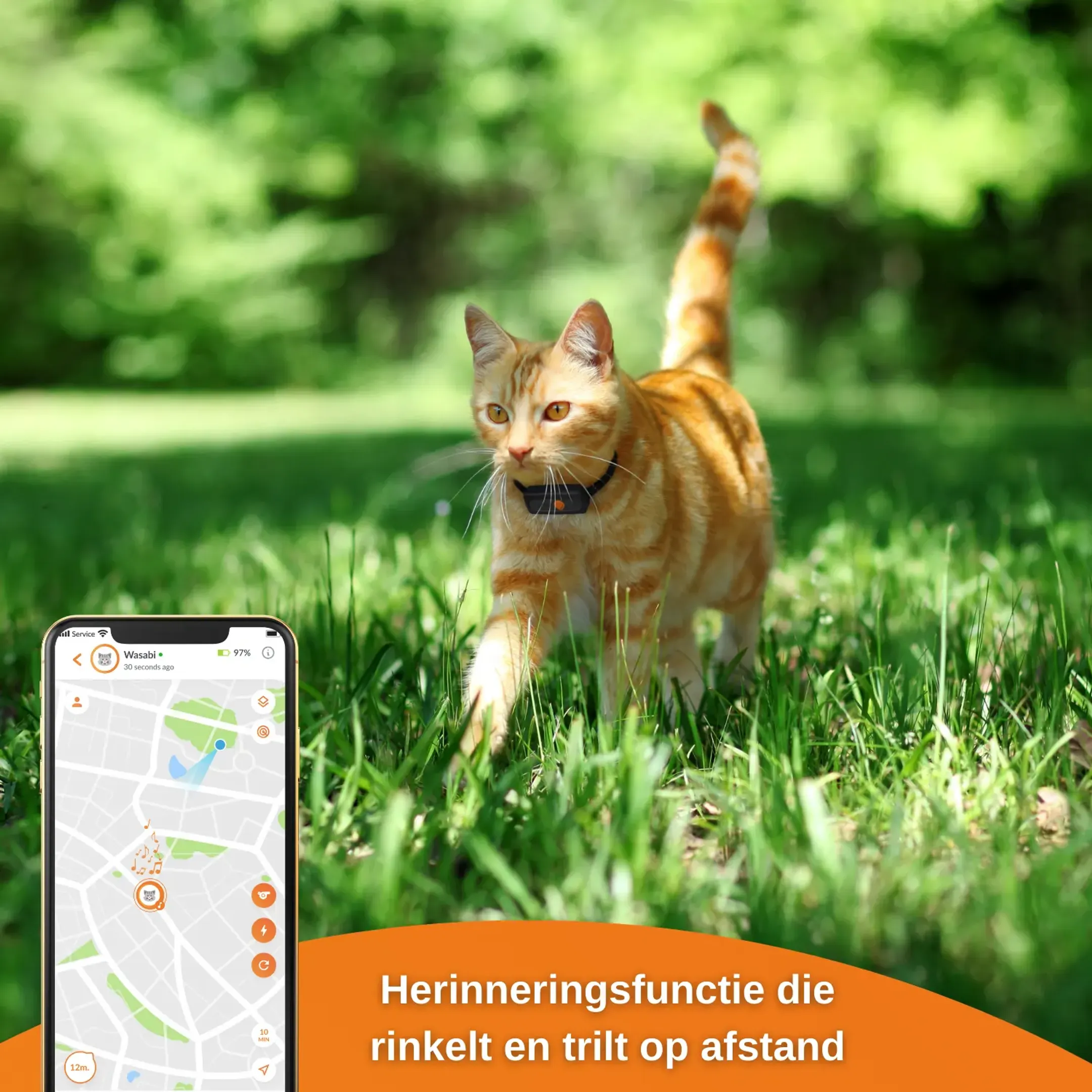 Weenect GPS tracker voor katten - XS Cats - Zwart image
