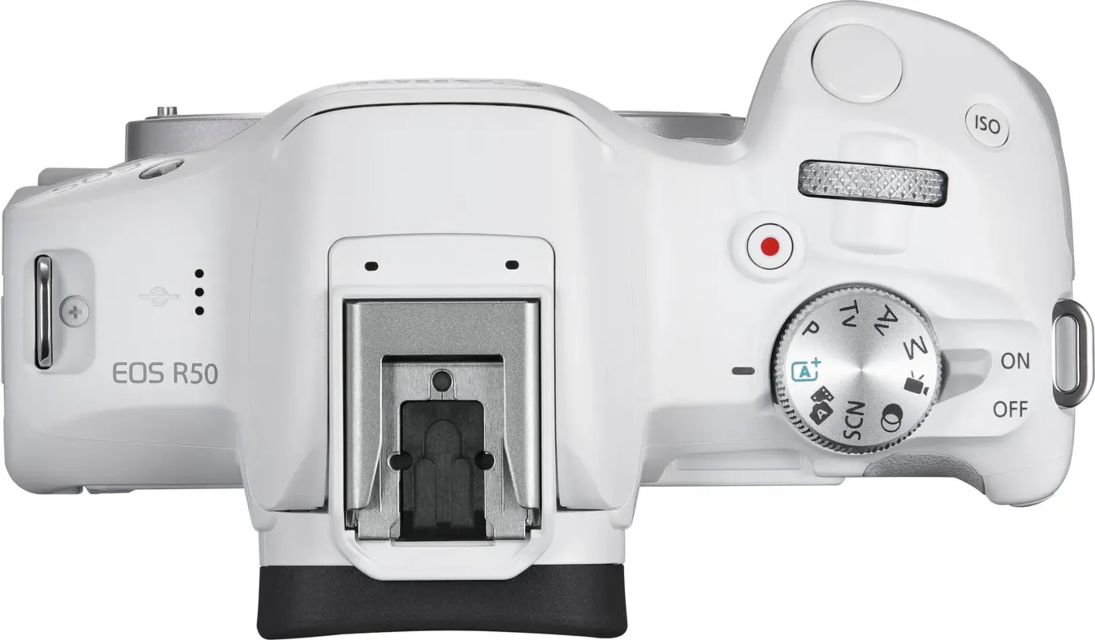 Canon EOS R50-systeemcamera - Wit + RF-S 18-45 mm f/4.5-6.3 IS STM-lens image