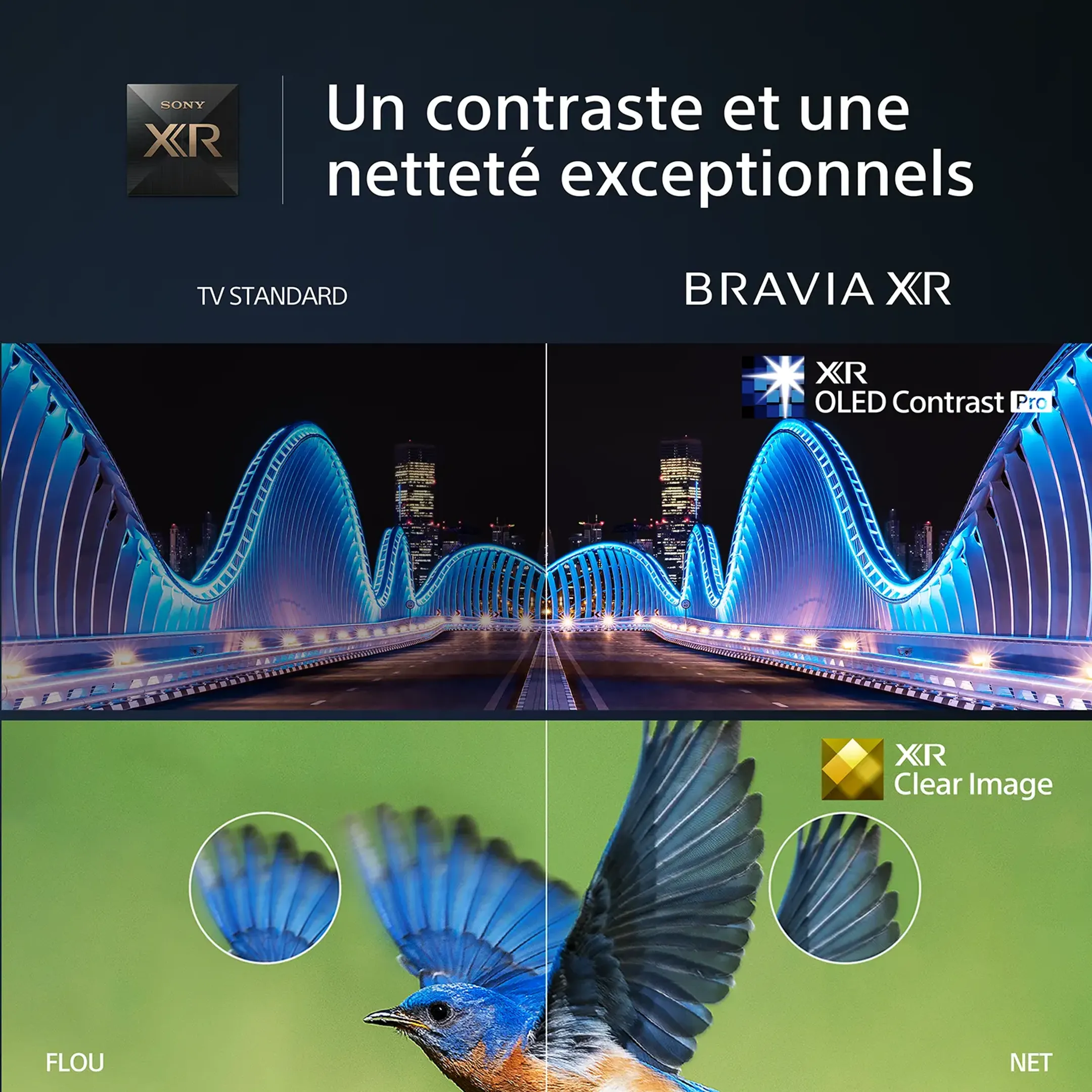 Sony TV OLED 4K XR55A80L (2023) - 55 pouces image