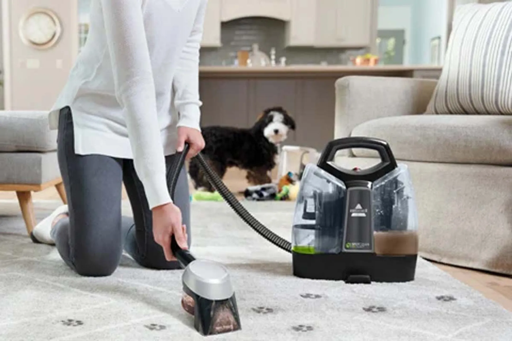 Bissell Nettoyeur de tapis Spotclean Pet Plus 37241 image