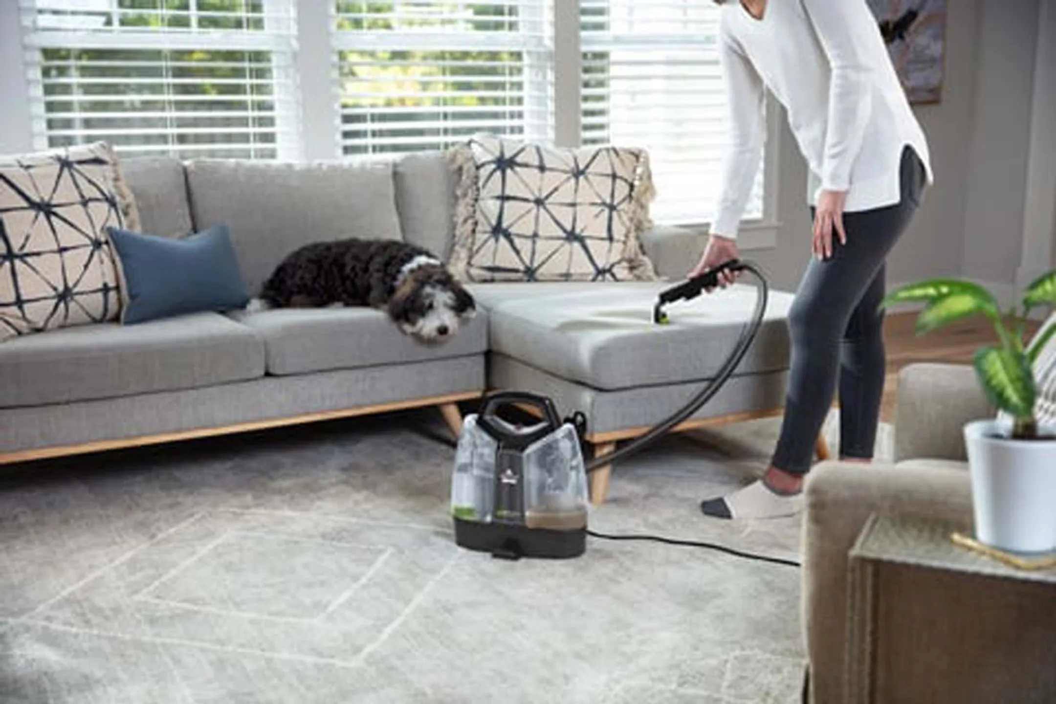 Bissell Nettoyeur de tapis Spotclean Pet Plus 37241 image