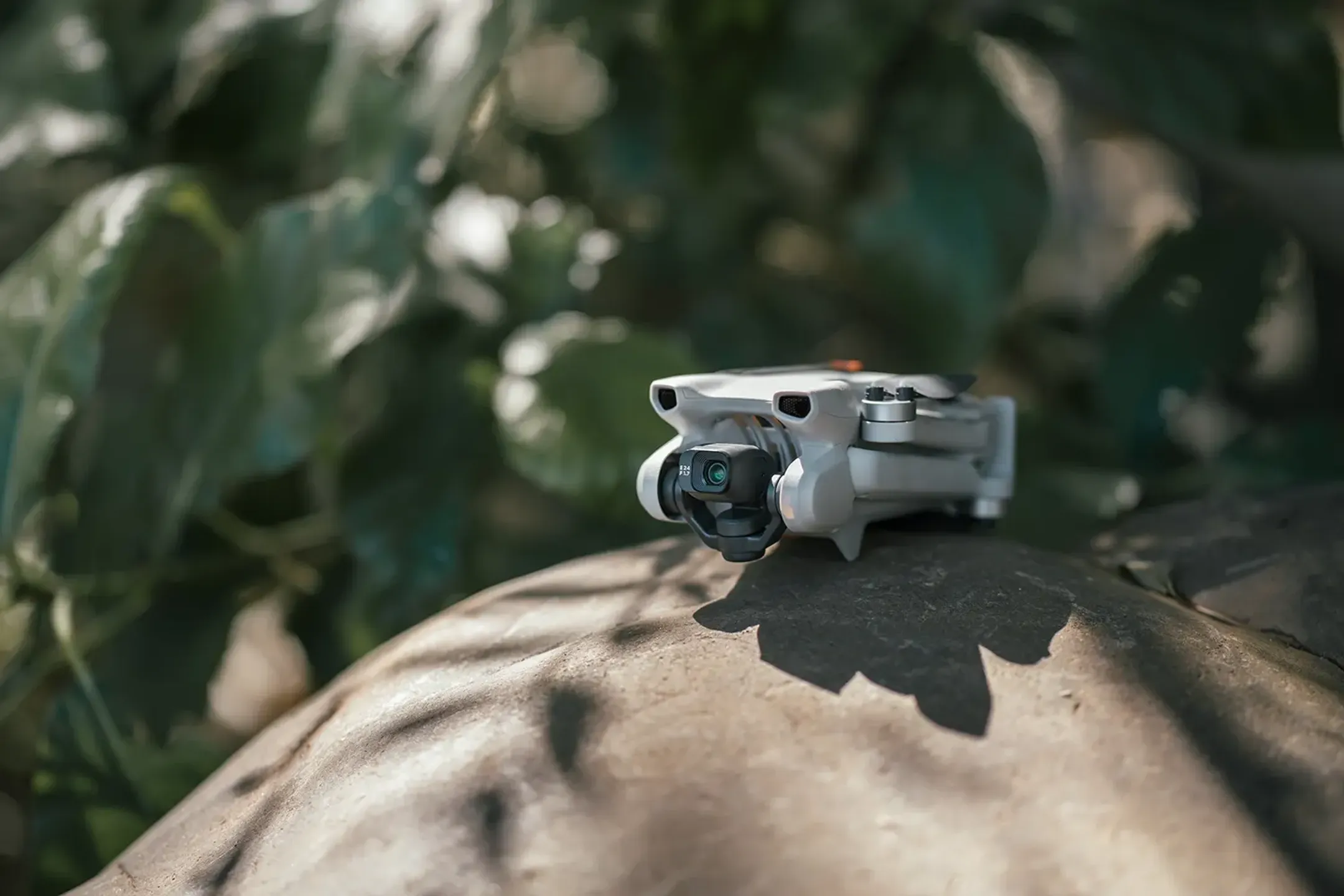 DJI Mini 3 Fly More Combo (DJI RC) image