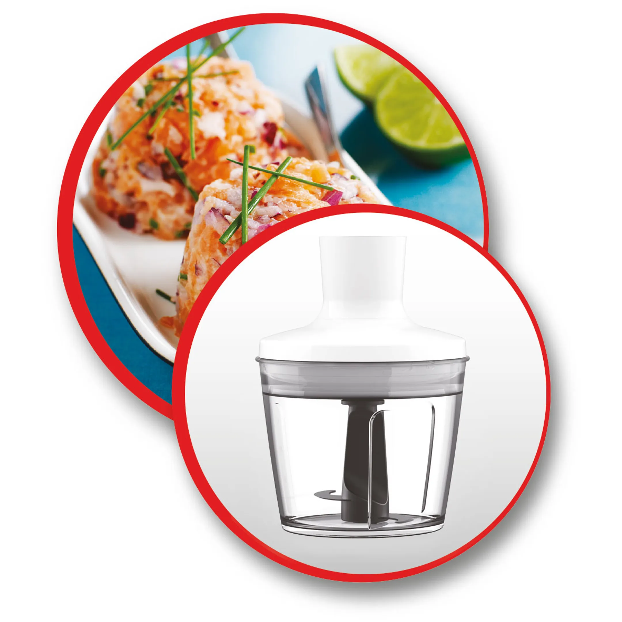 Moulinex Mixeur plongeant DD6A5110 image