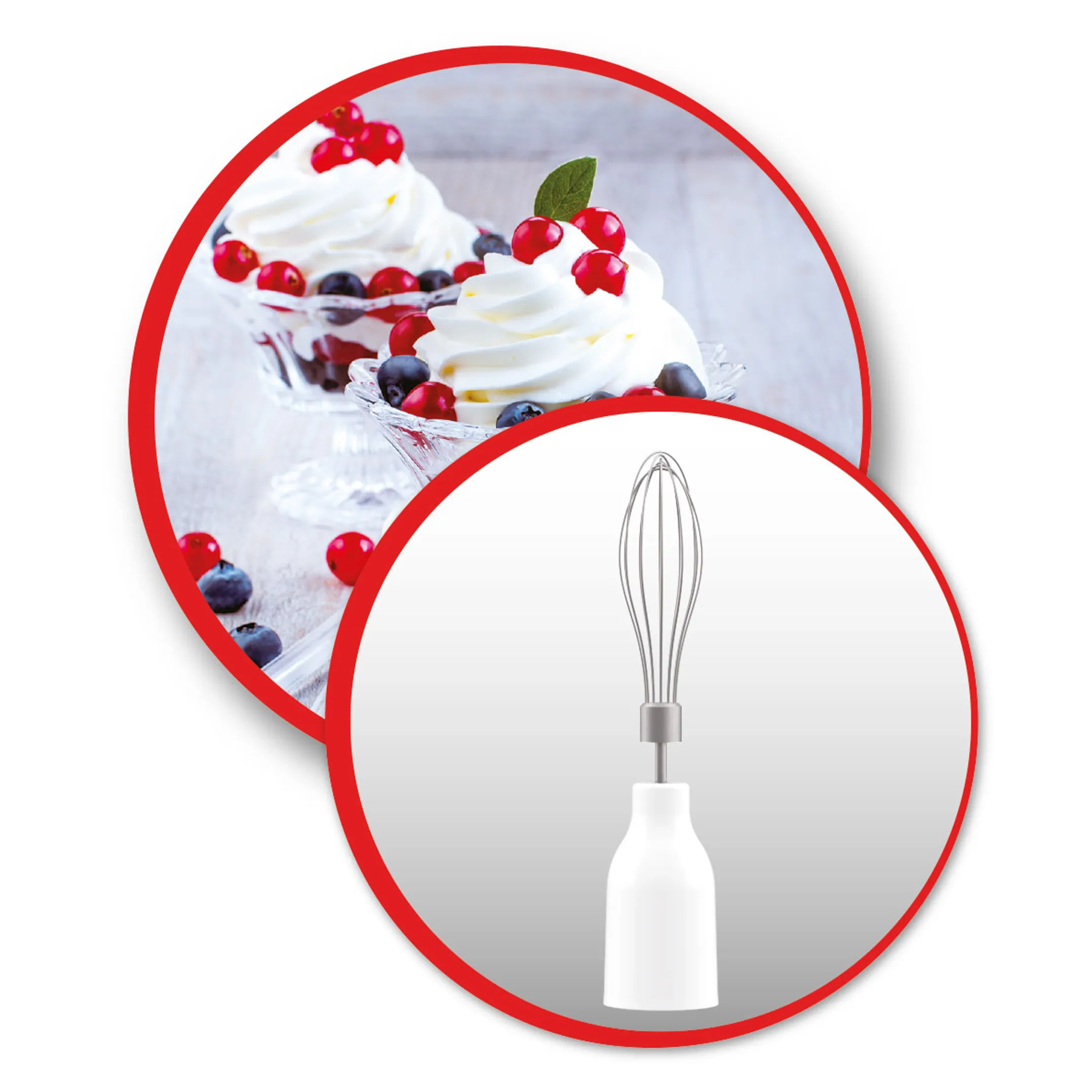 Moulinex Mixeur plongeant DD6A5110 image