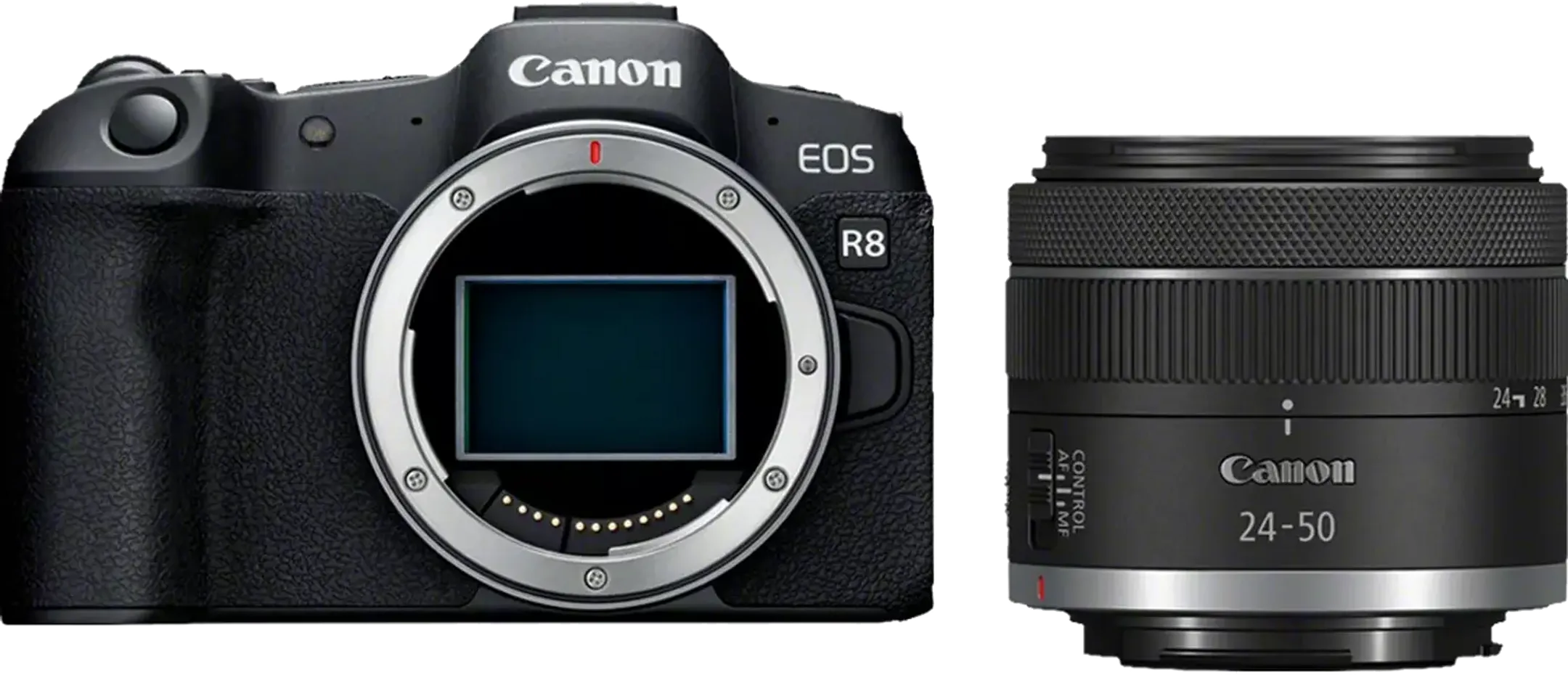 EOS R8 + RF 24 - 50 mm f/4.5 - 6.3 IS STM