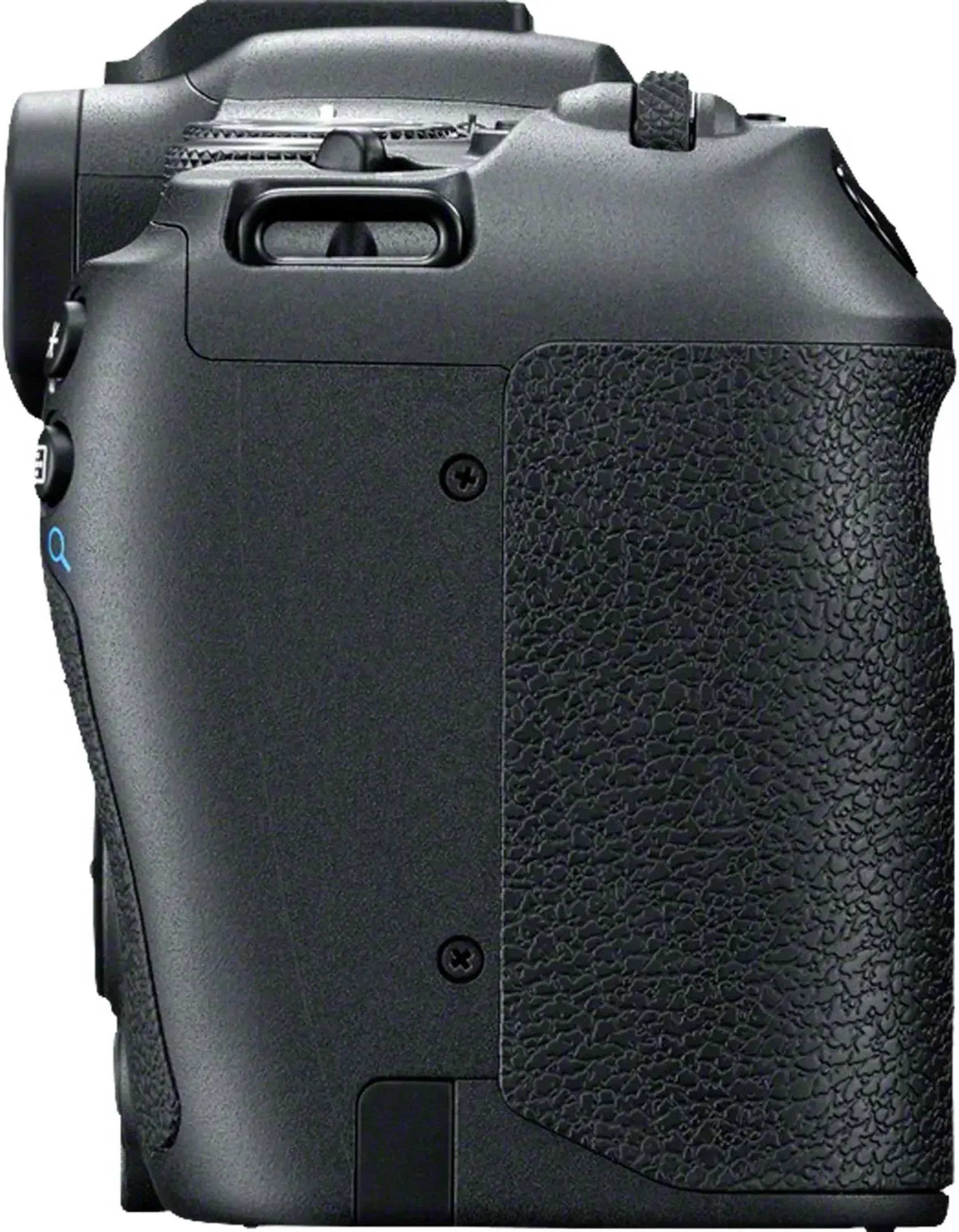 Canon EOS R8 + RF 24 - 50 mm f/4.5 - 6.3 IS STM image