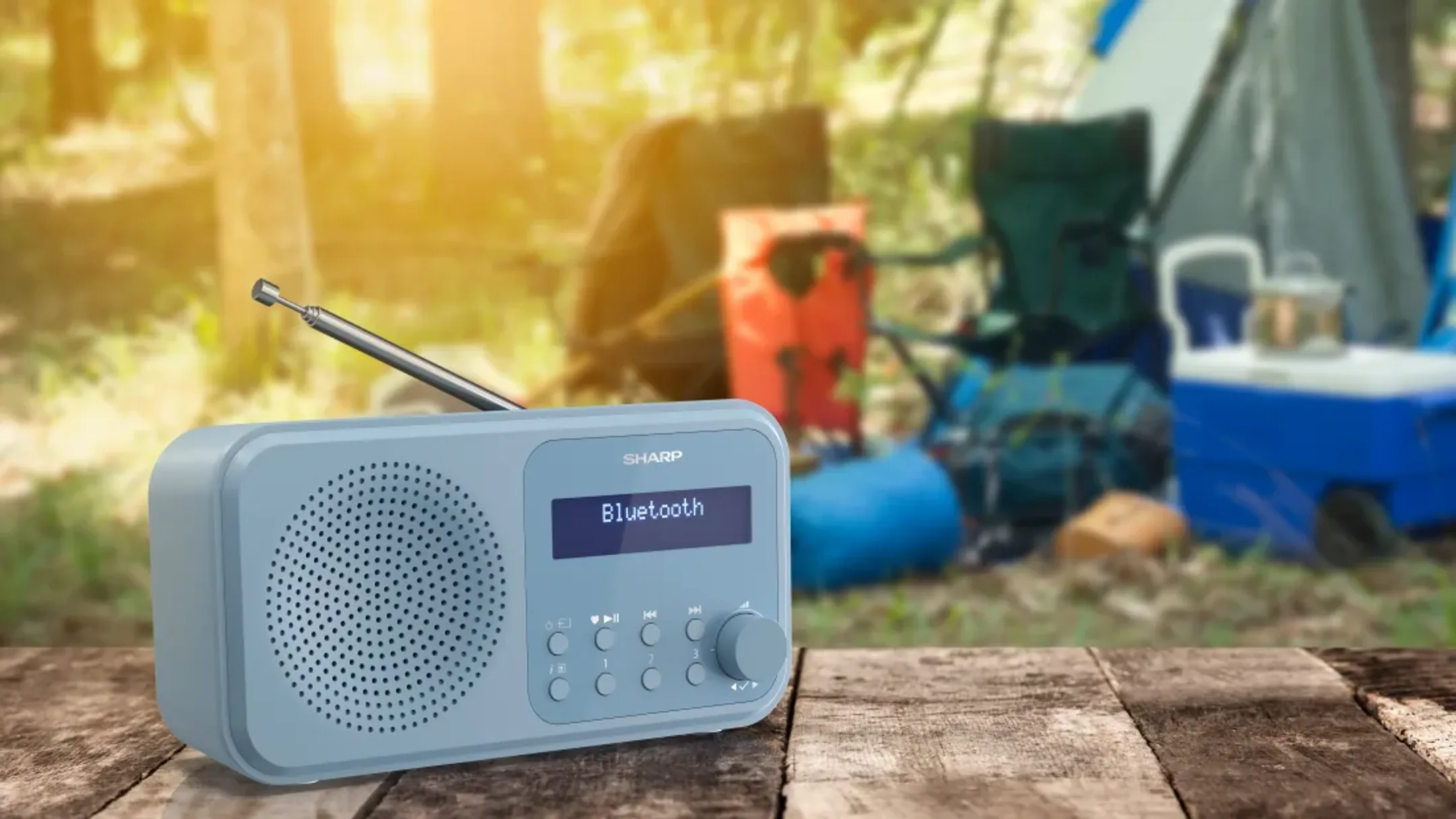 Sharp Radio DAB+ portable - Tokyo - DR-P420 - Bleu image