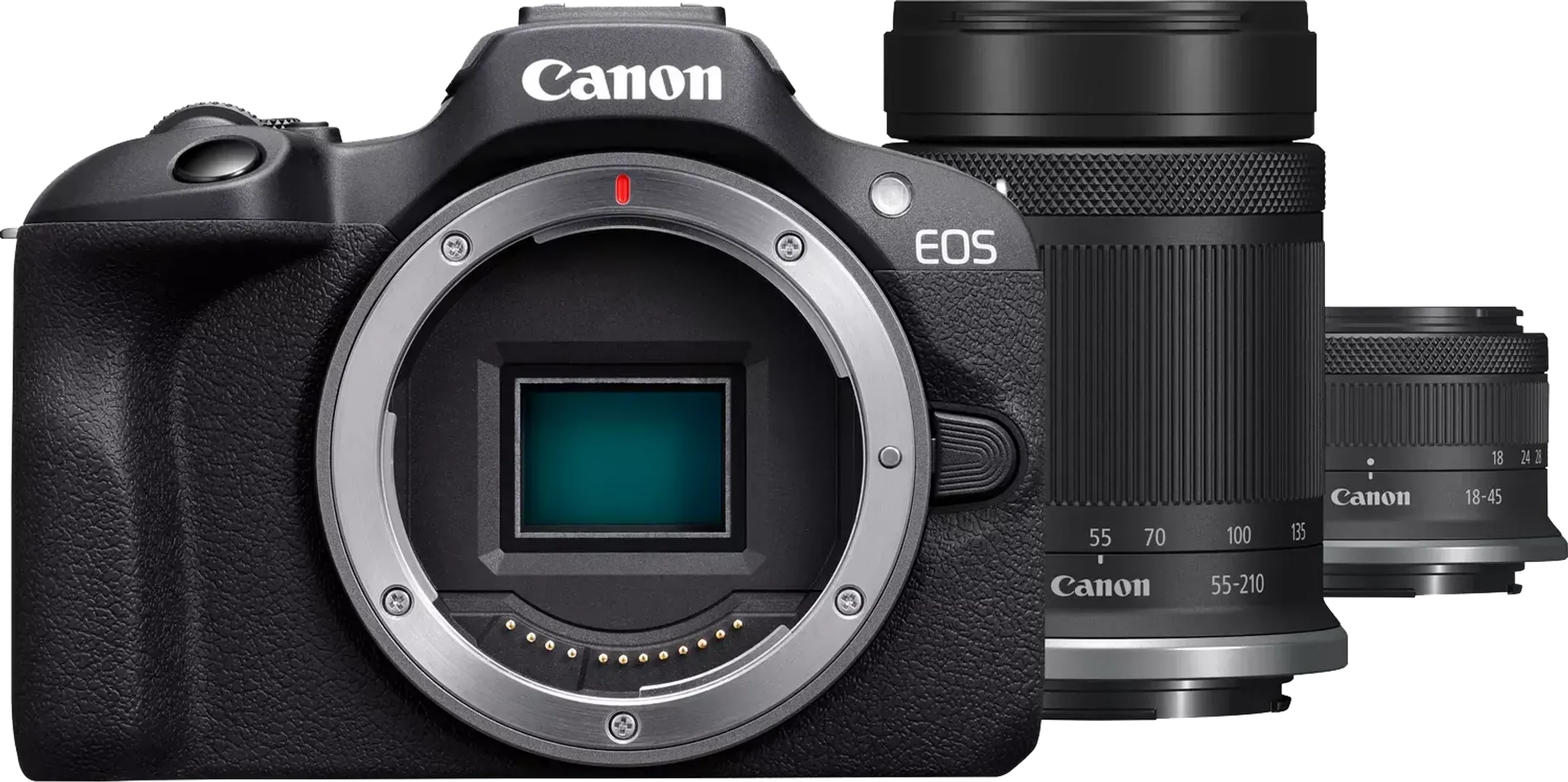 EOS R100 + RF-S 18-45 mm IS STM + RF-S 55-210 mm IS STM
