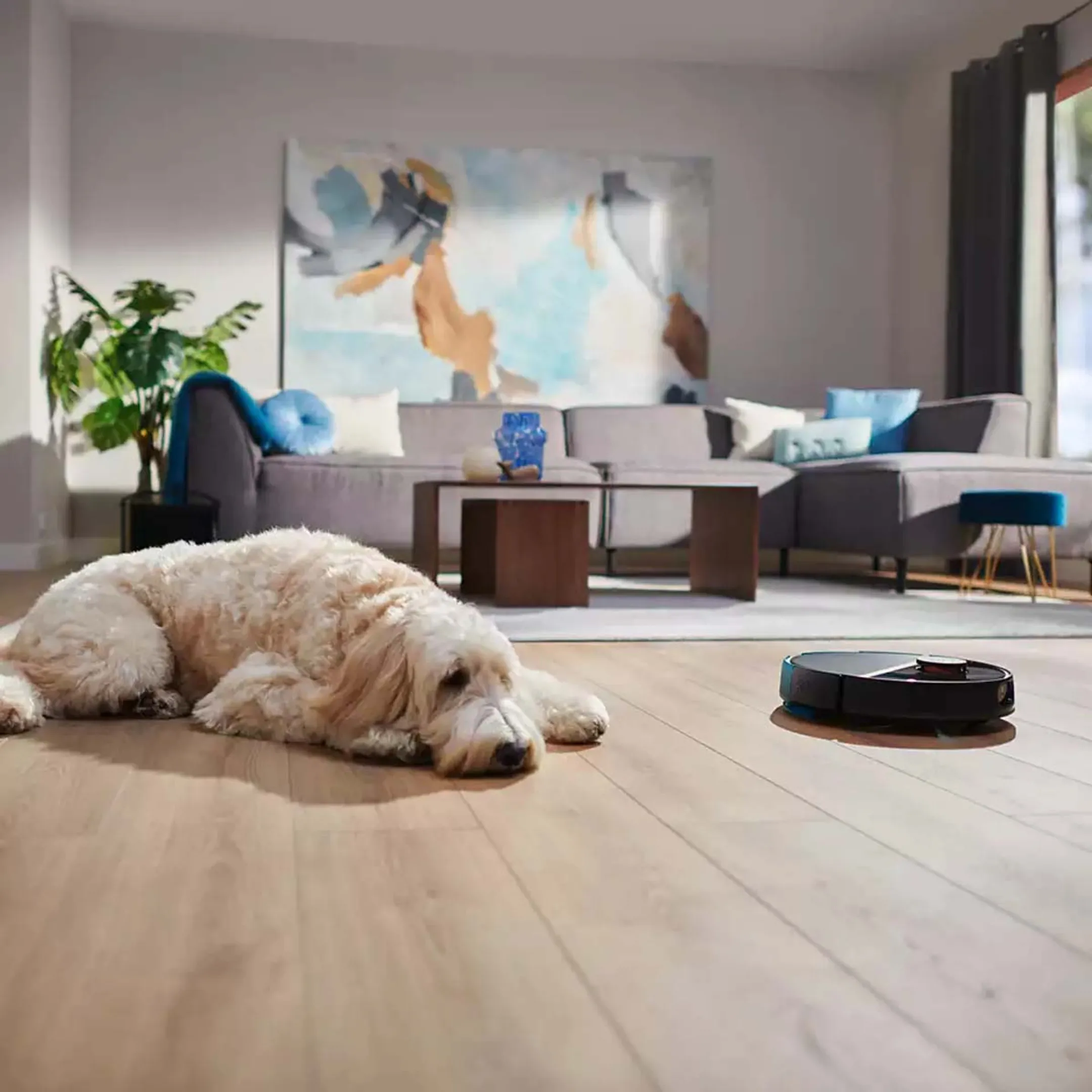 Philips Robotstofzuiger XU7100/01 image