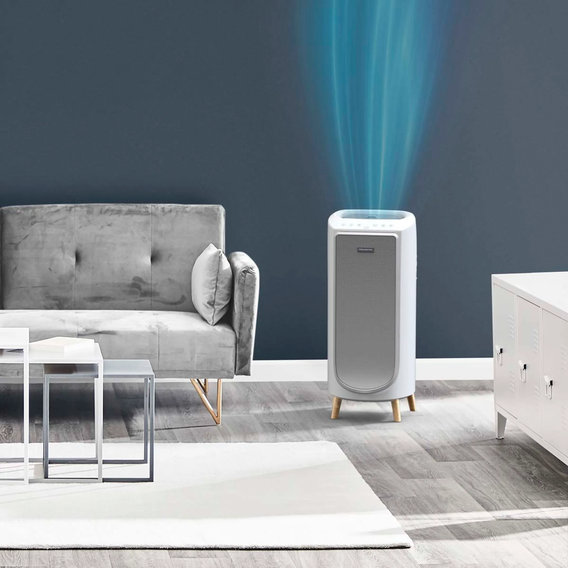 Rowenta Purificateur d'air Intense Pure Home PU6180F0 image