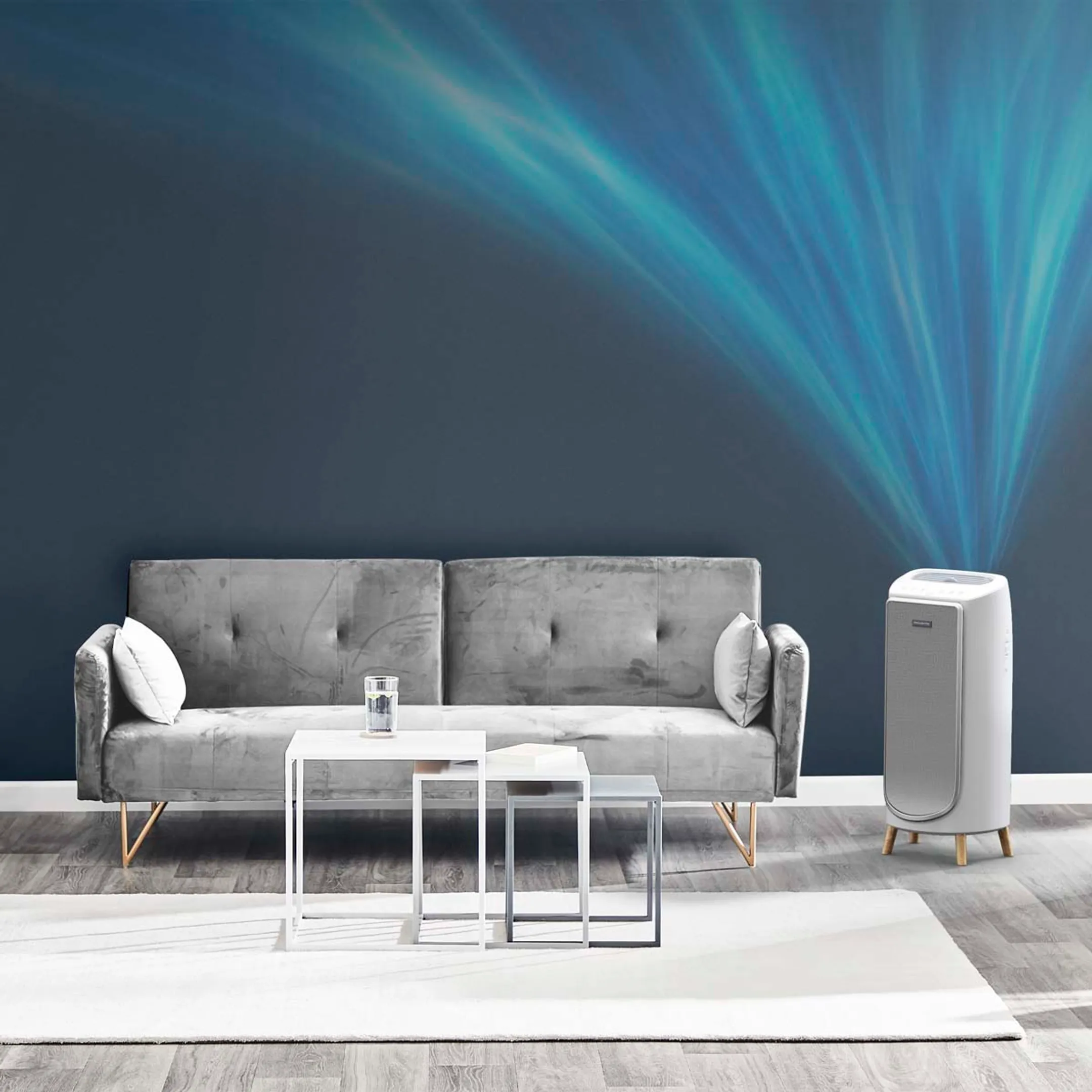 Rowenta Purificateur d'air Intense Pure Home PU6180F0 image